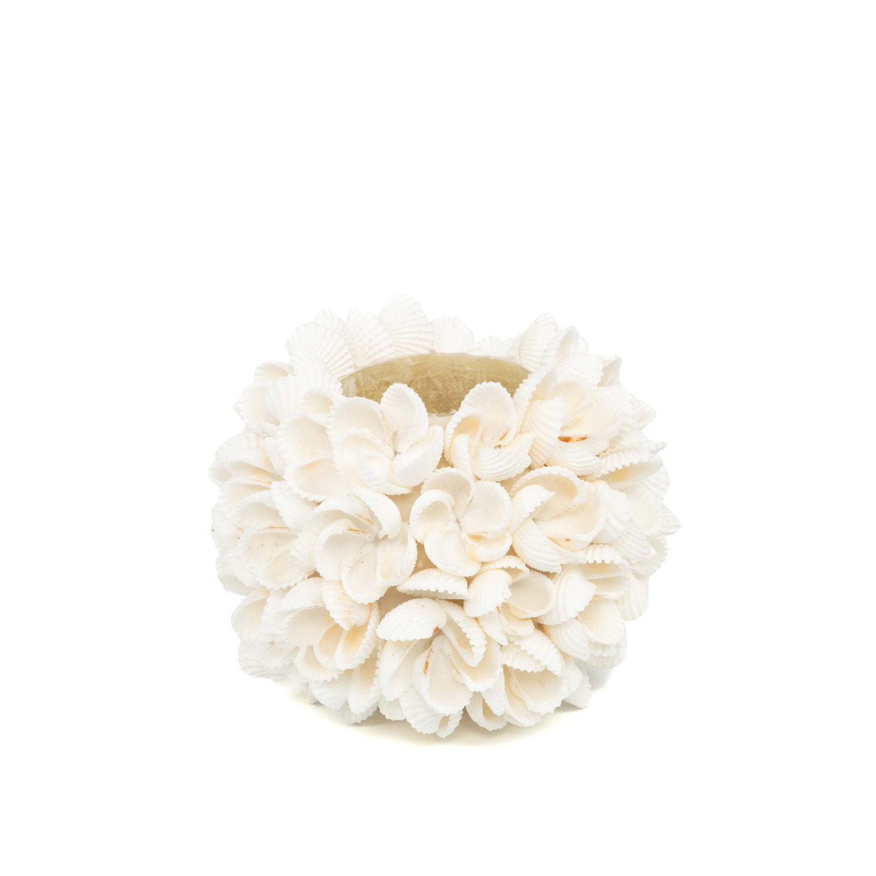 Shell candle holder with natural flower design in medium size