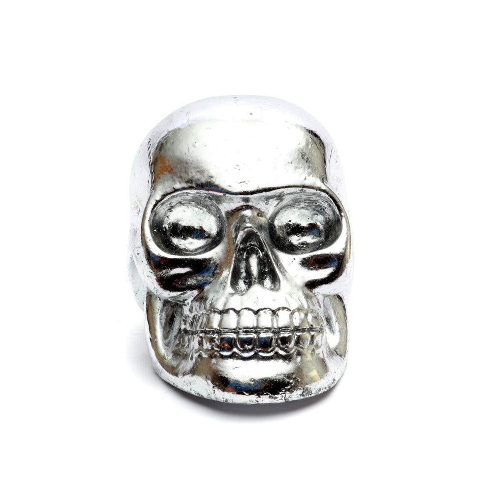 the-resin-skull-head-silver-s