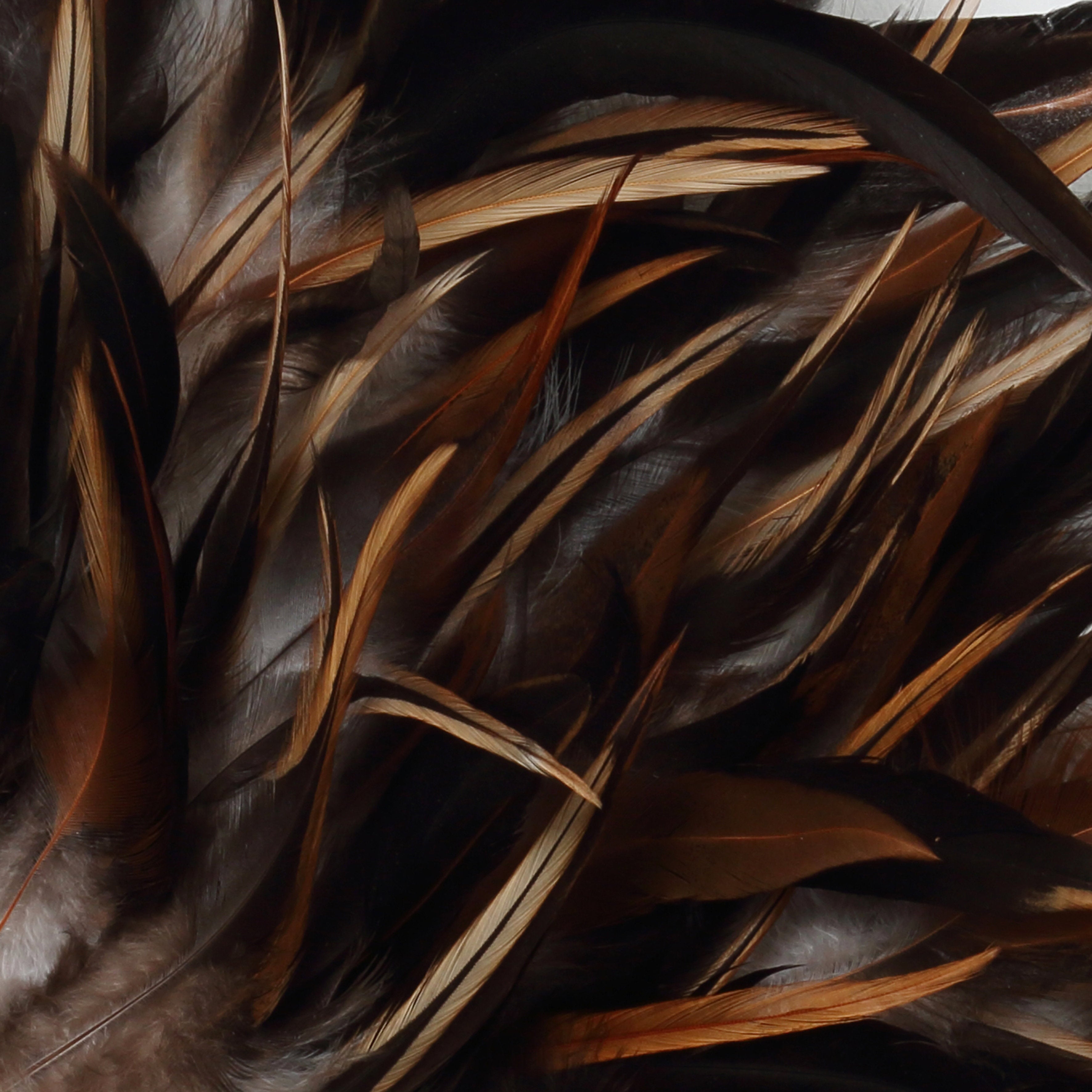 the-coastal-juju-black-brown-m_40