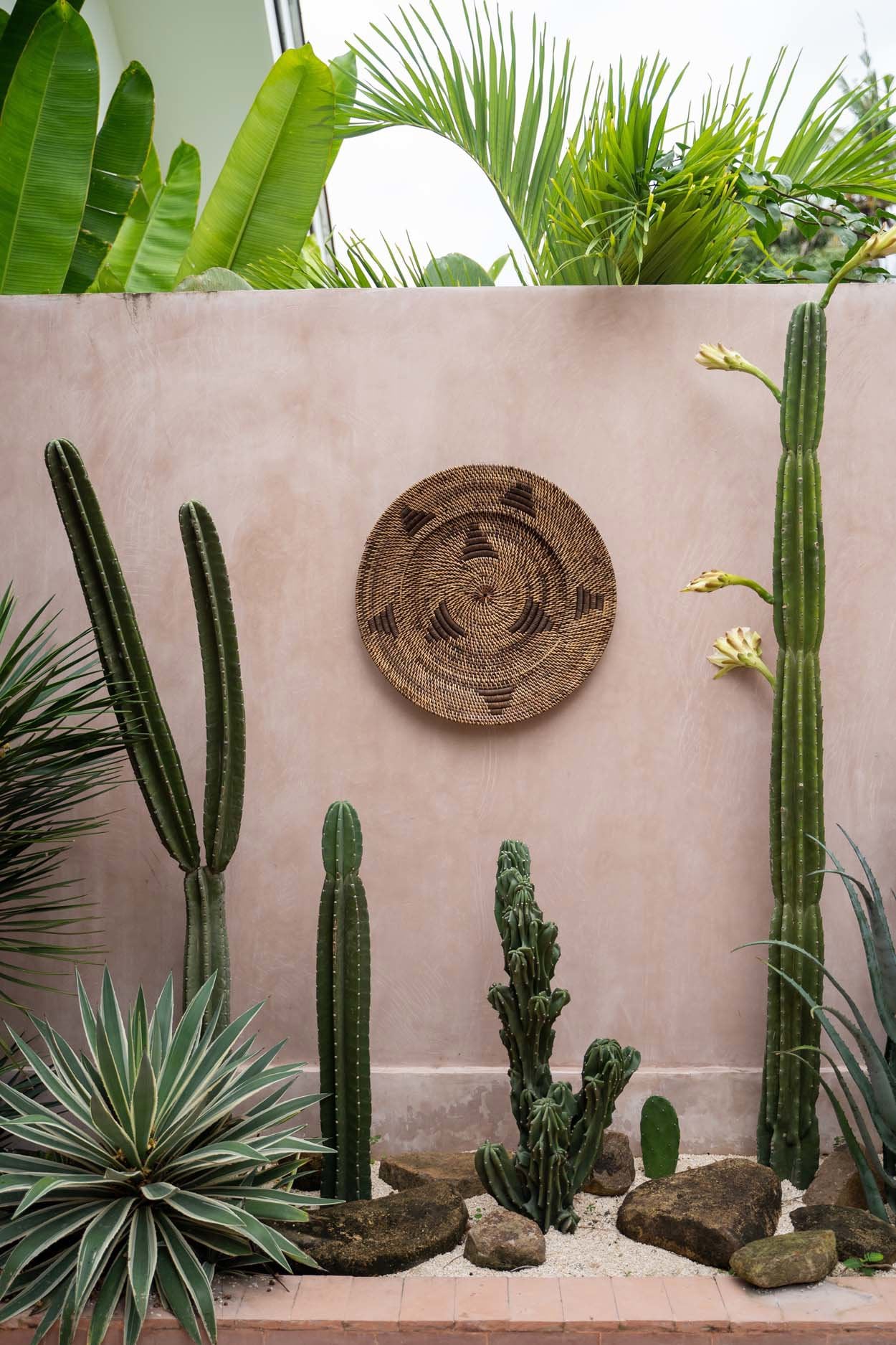 the-jasmine-plate-brown-m