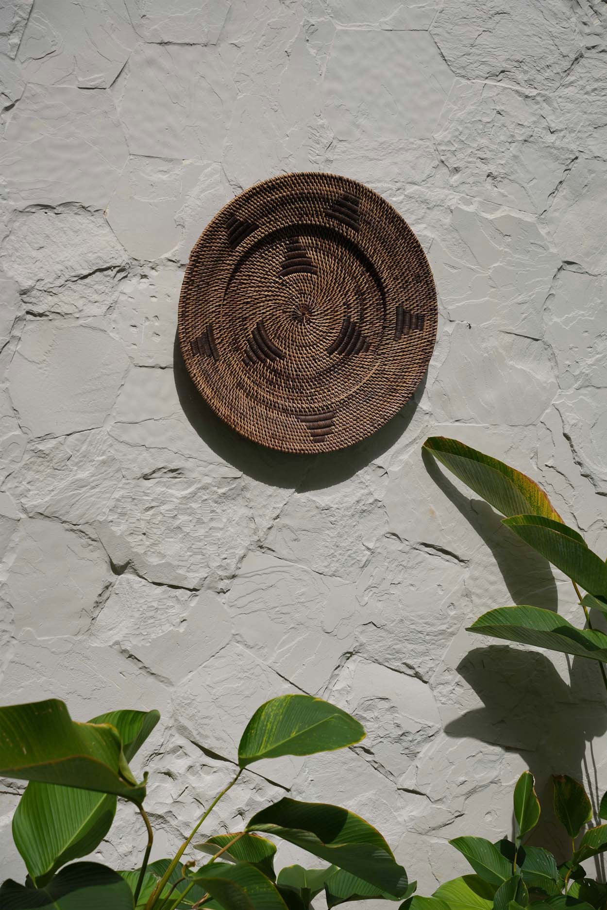 the-jasmine-plate-brown-m