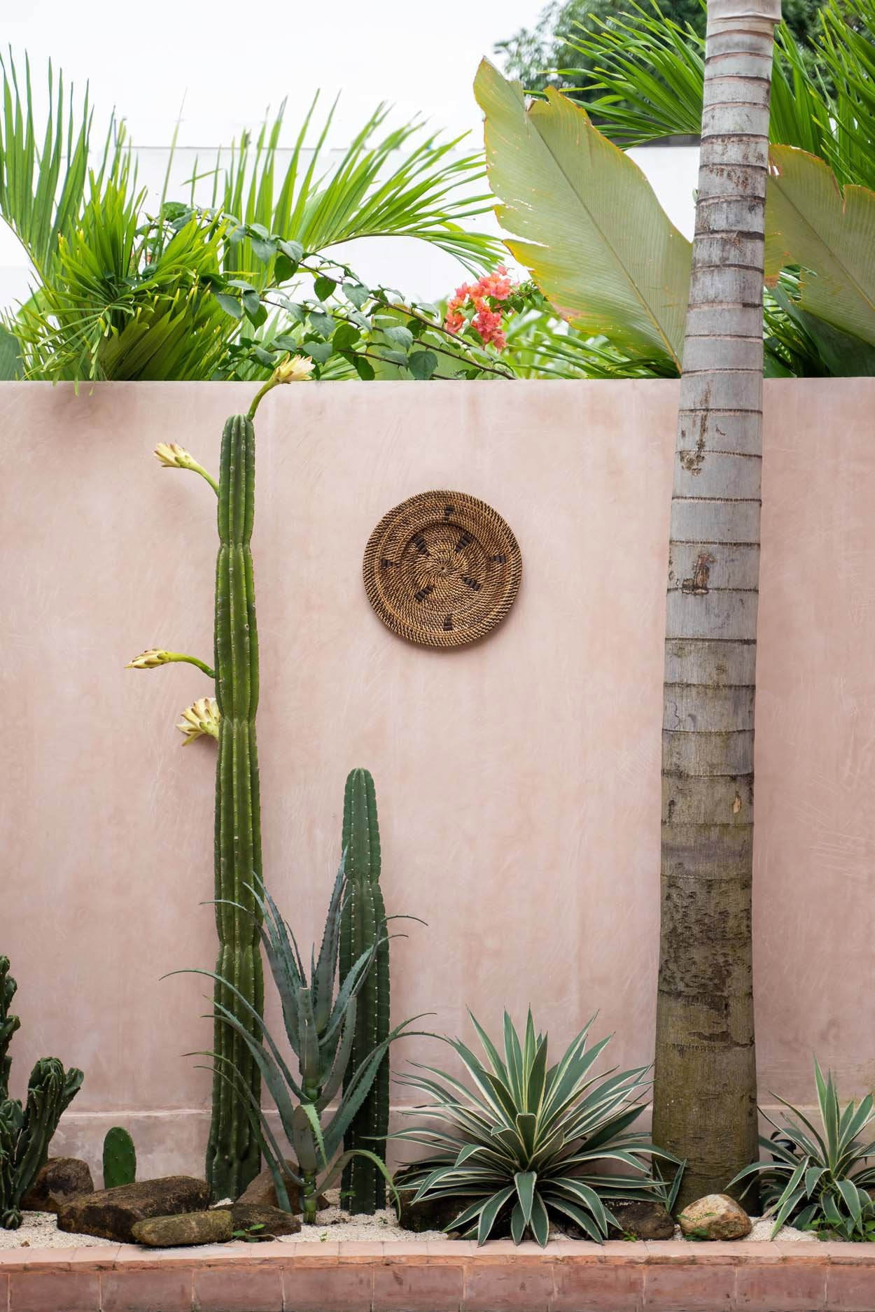 the-jasmine-plate-brown-s