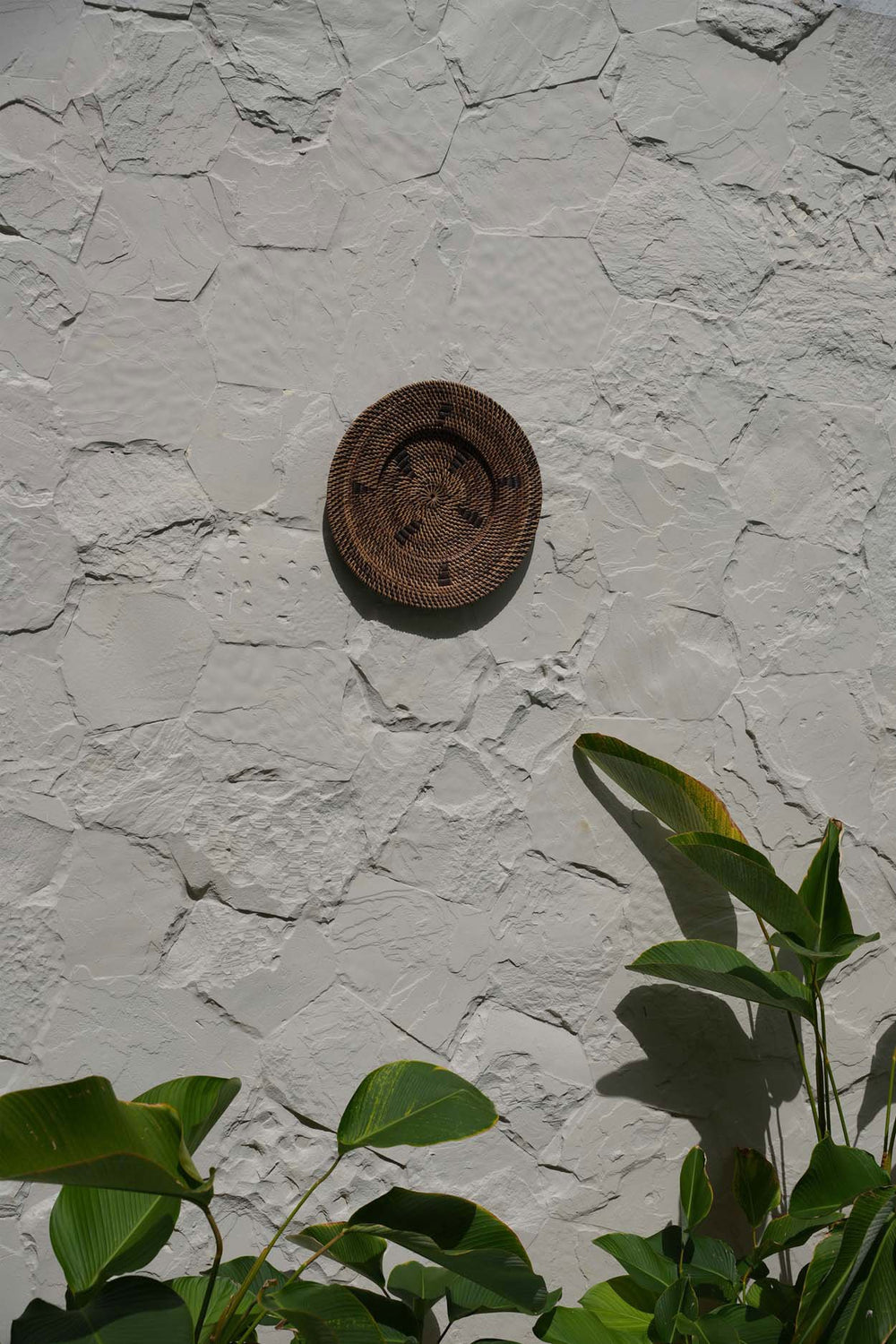 the-jasmine-plate-brown-s