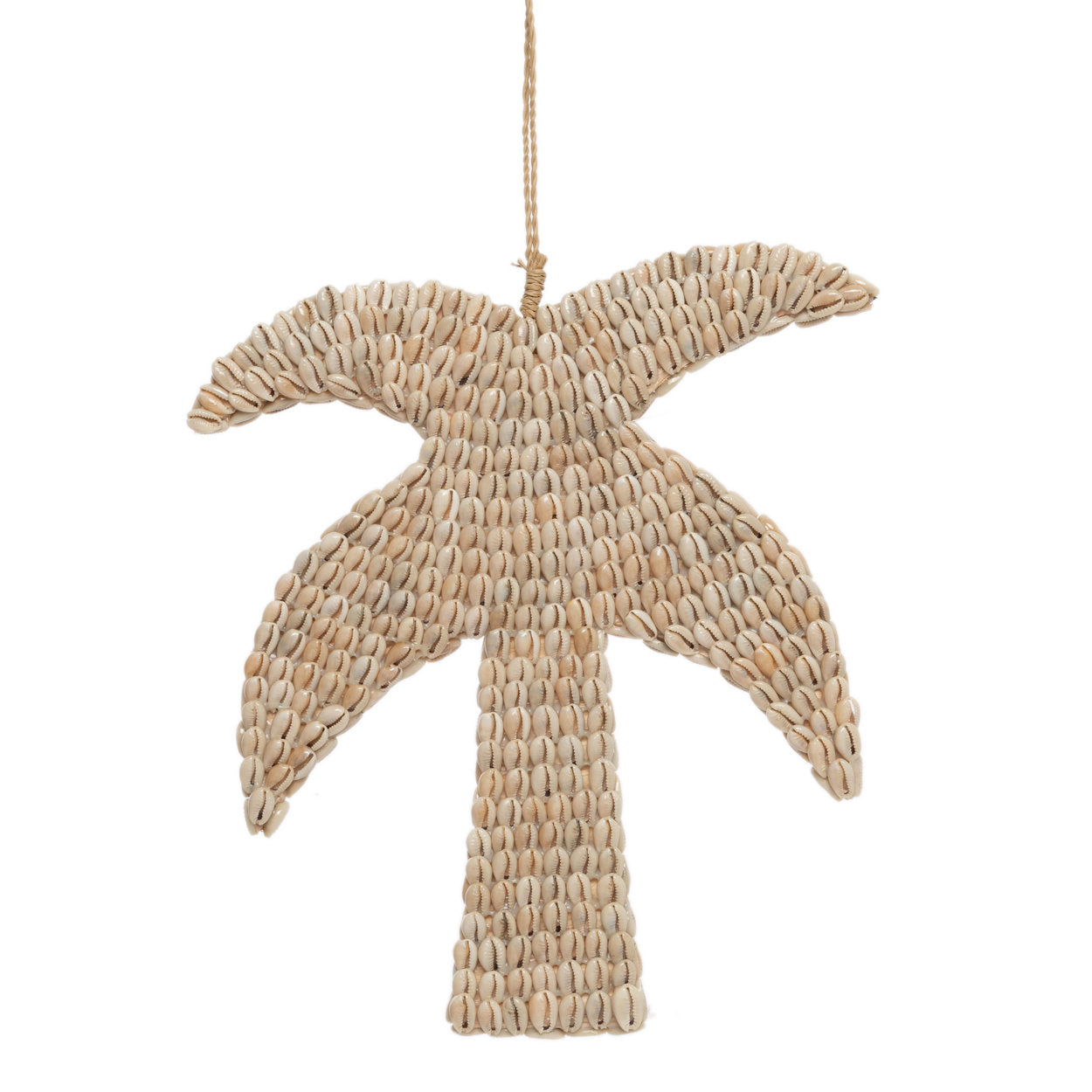 the-shell-palm-tree-natural