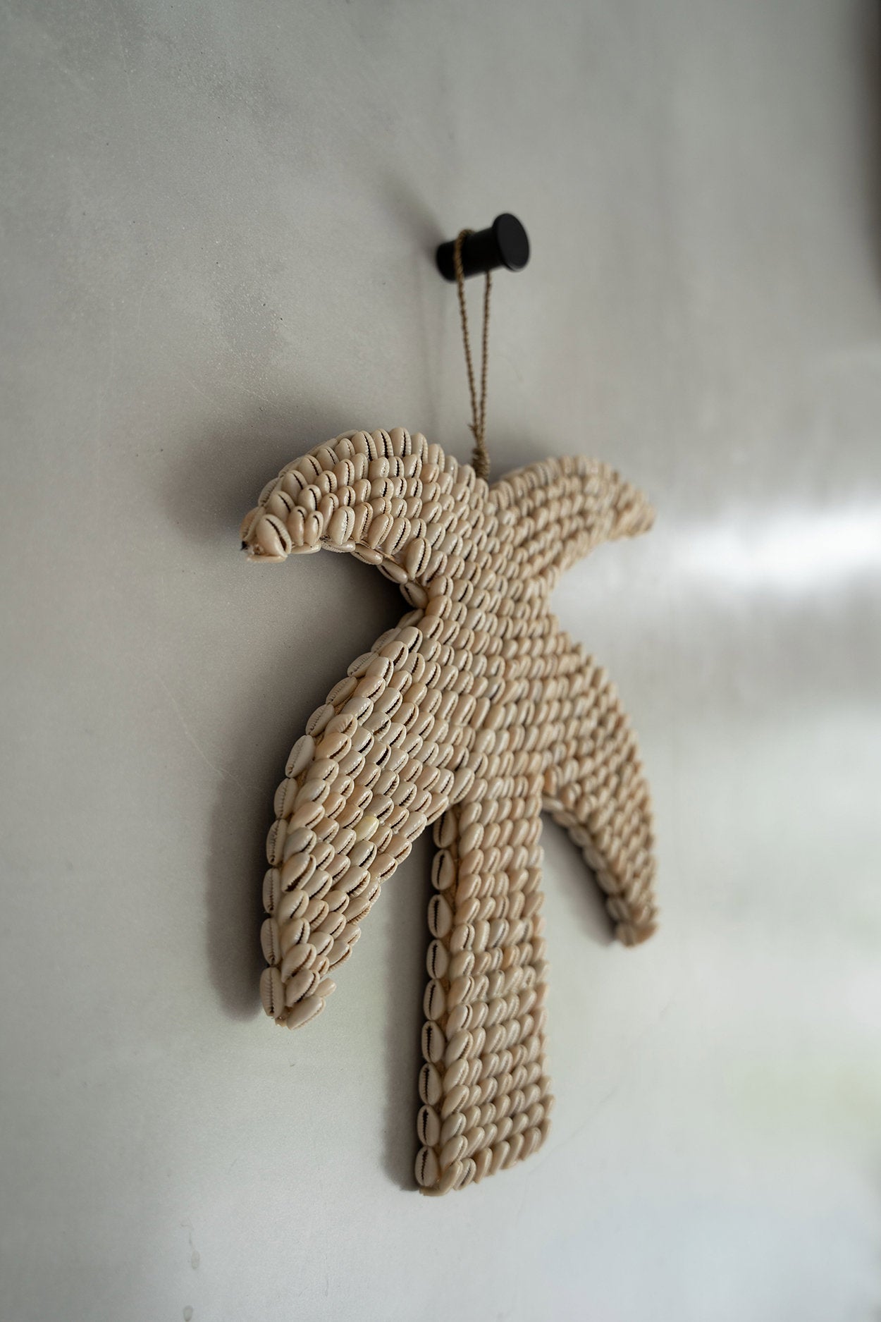 the-shell-palm-tree-natural