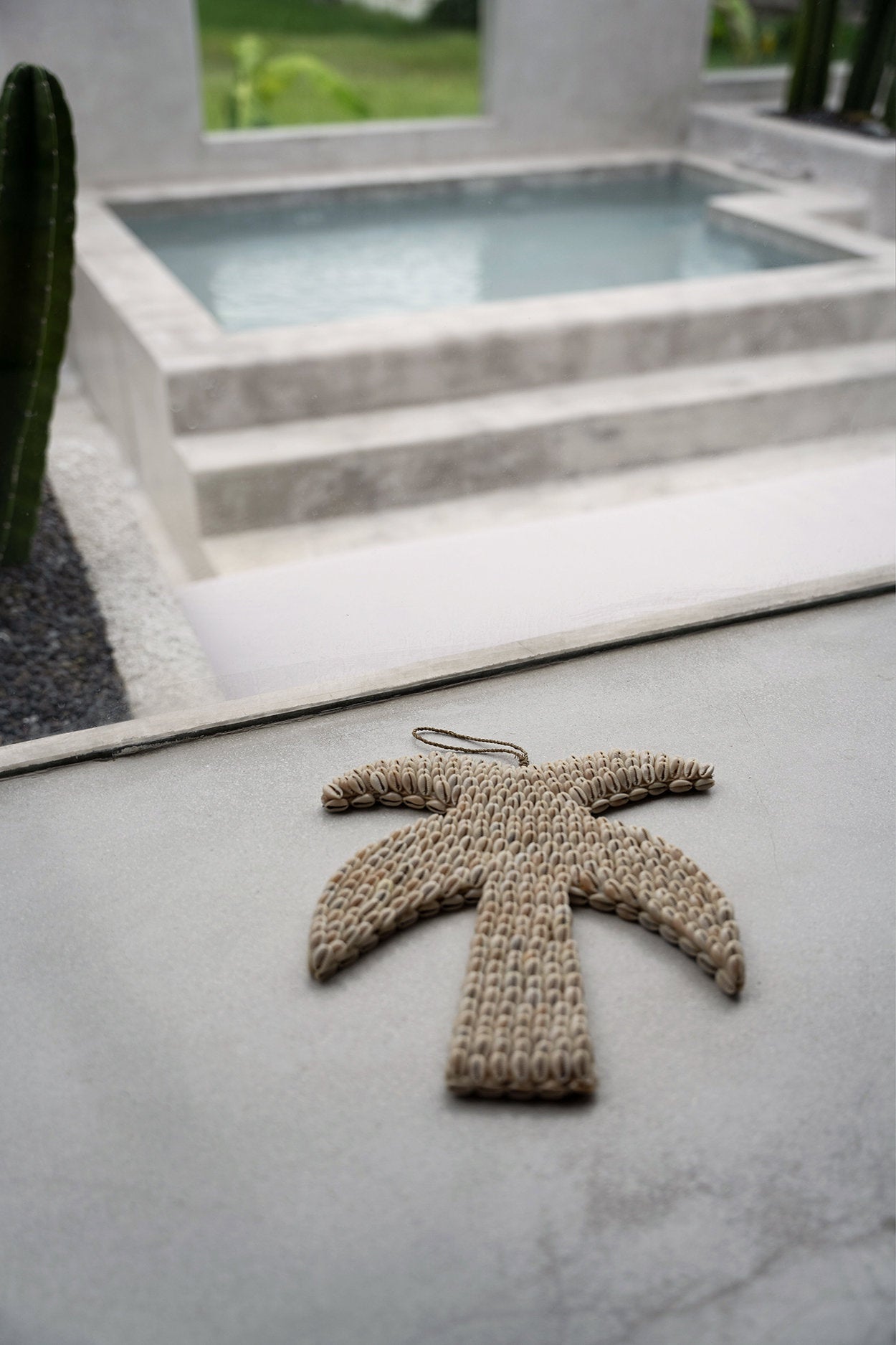 the-shell-palm-tree-natural