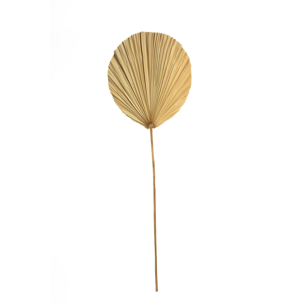 the-rayung-leaf-natural