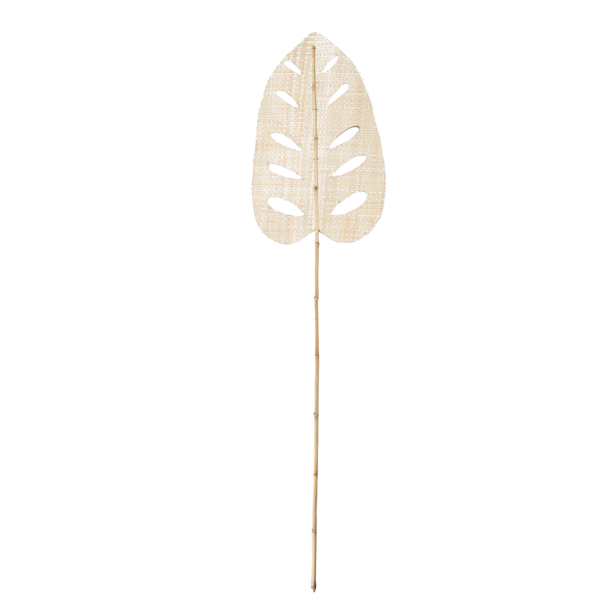 the-water-hyacinth-leaf-natural