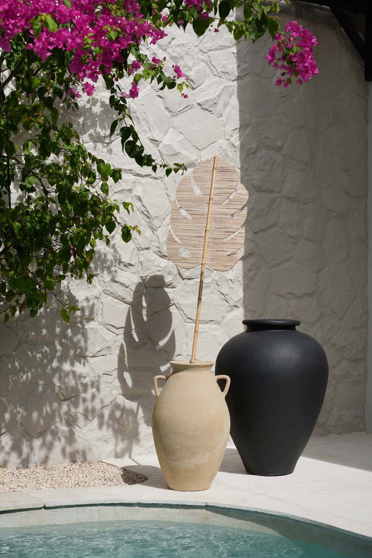 the-water-hyacinth-leaf-natural