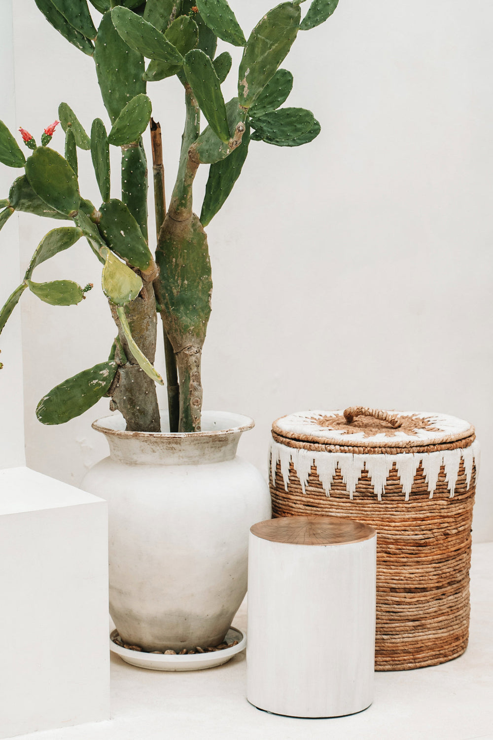 the-tribe-stool-natural-white