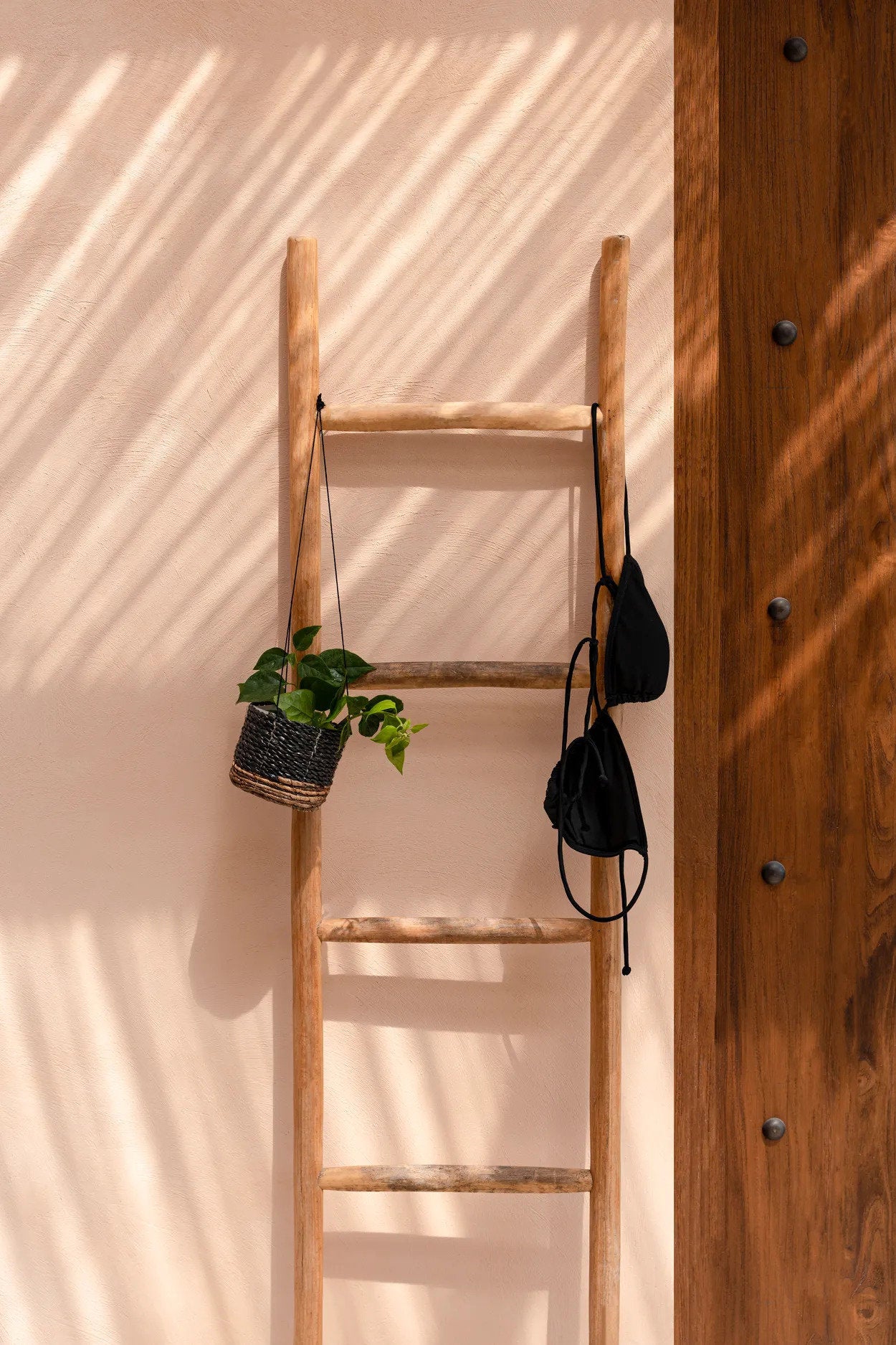 Vertical teak display ladder blending into modern interiors