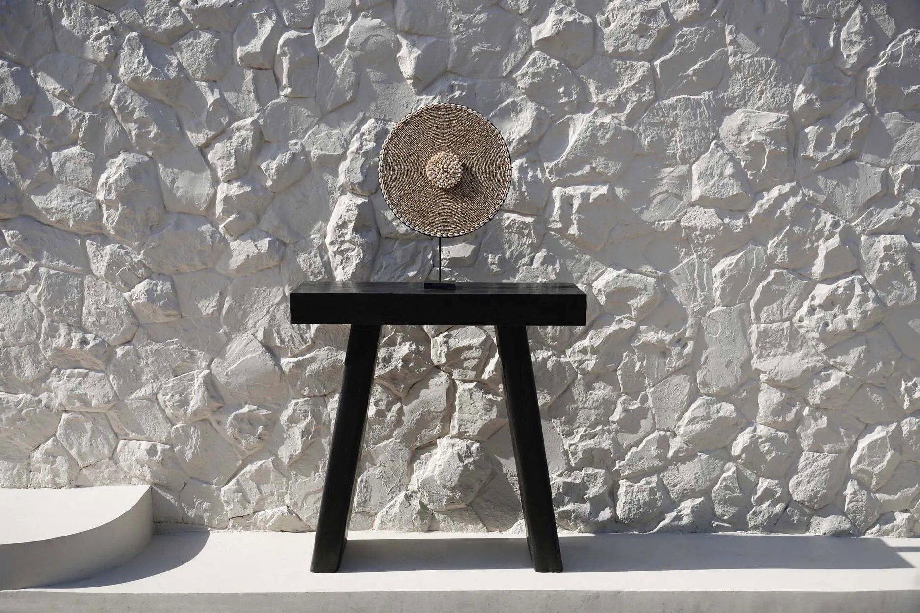 Organic shell display with natural textures, unique artisan home accent