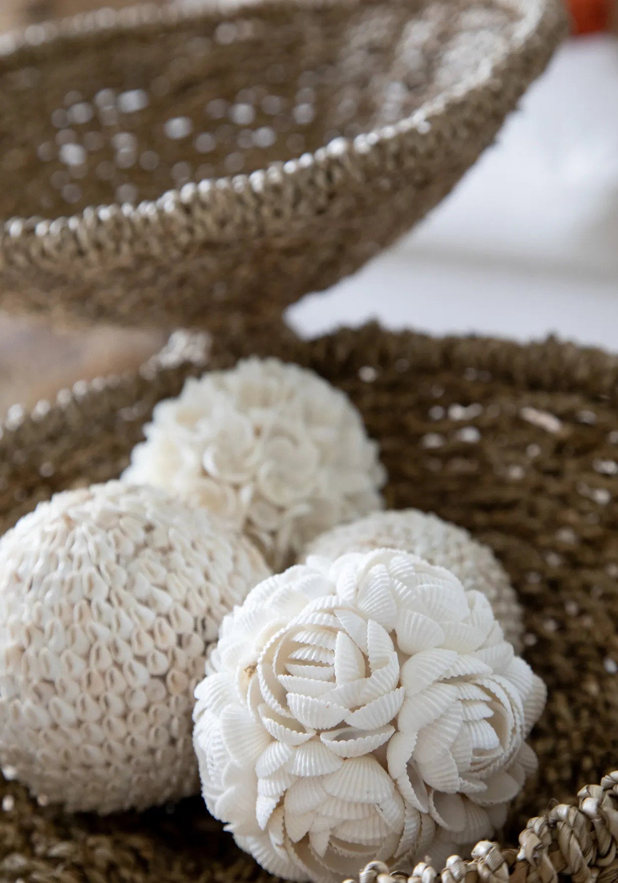 the-rose-shell-ball-white-l