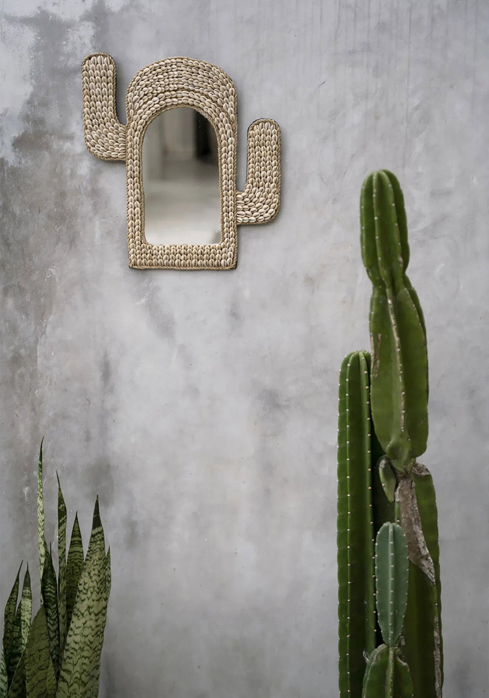 the-cactus-shell-mirror-white