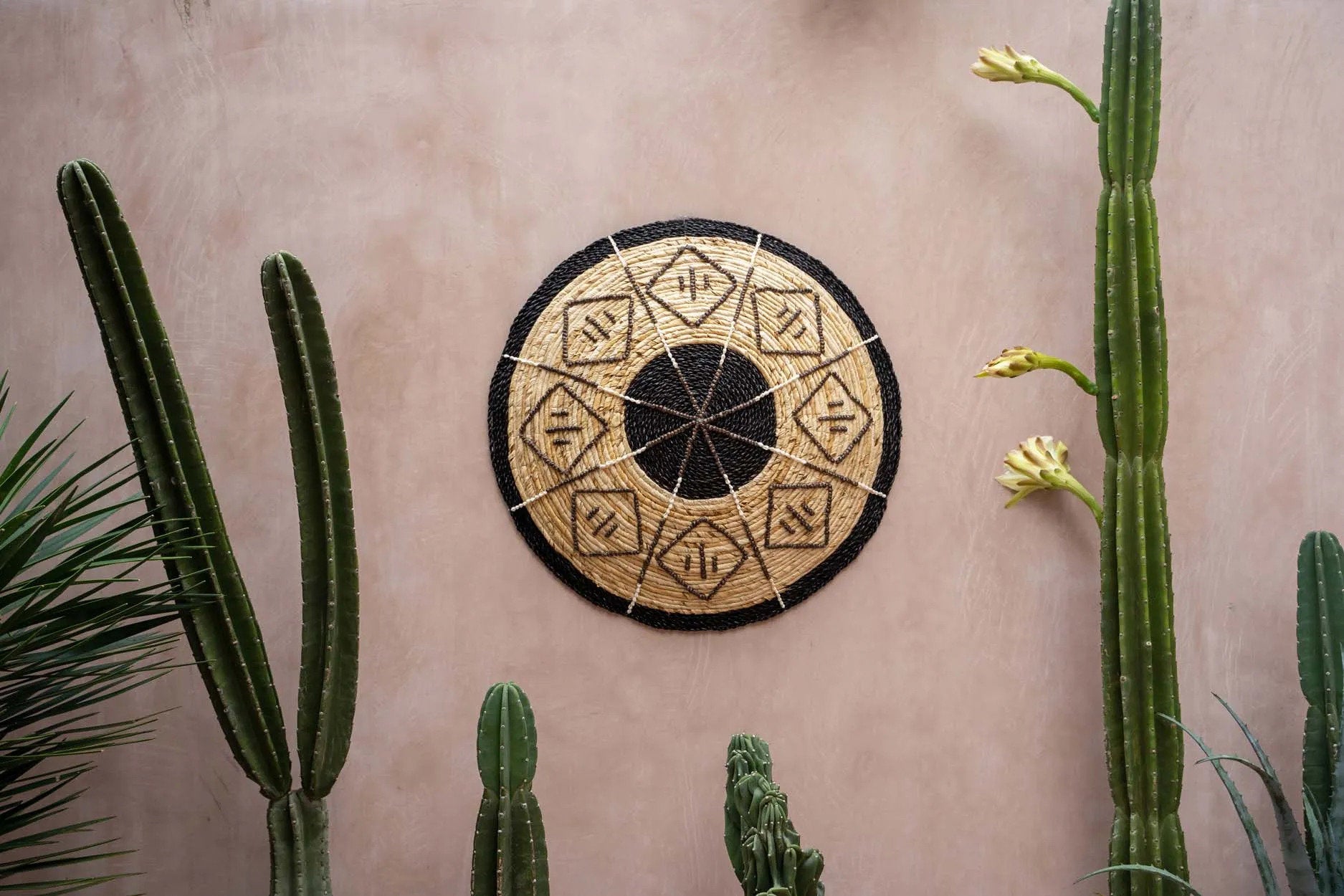 the-cozumel-plate-medium