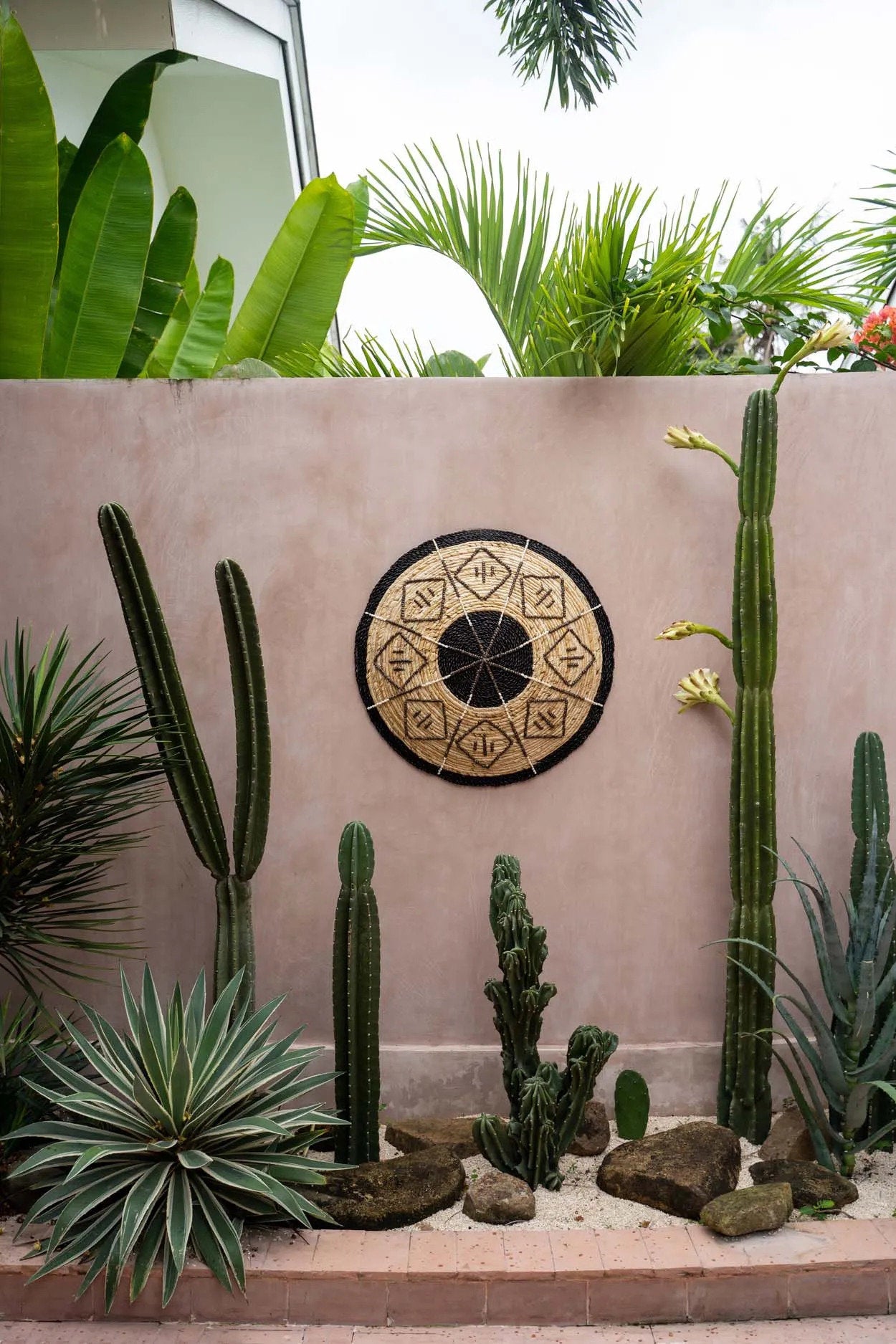 the-cozumel-plate-medium