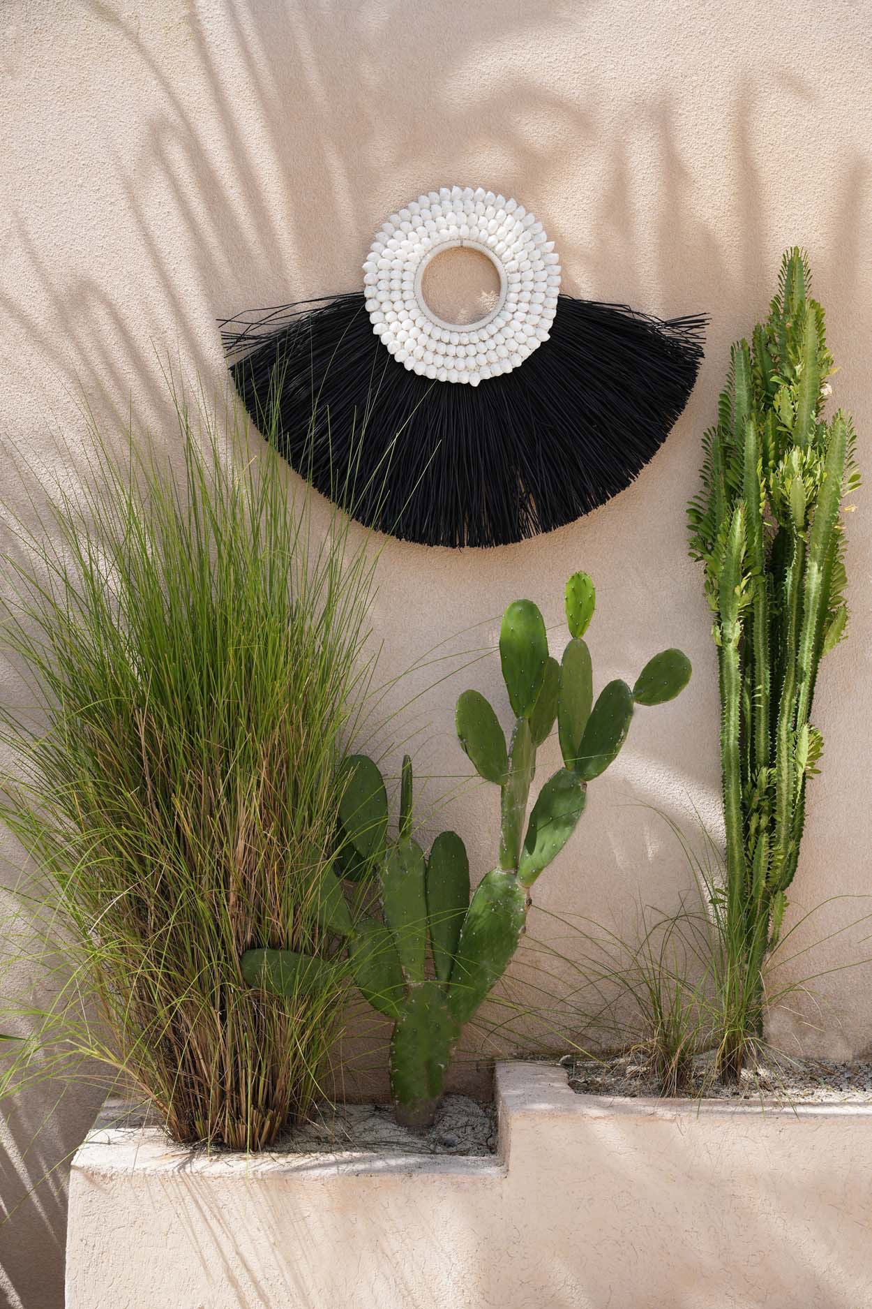 the-shell-alang-alang-black