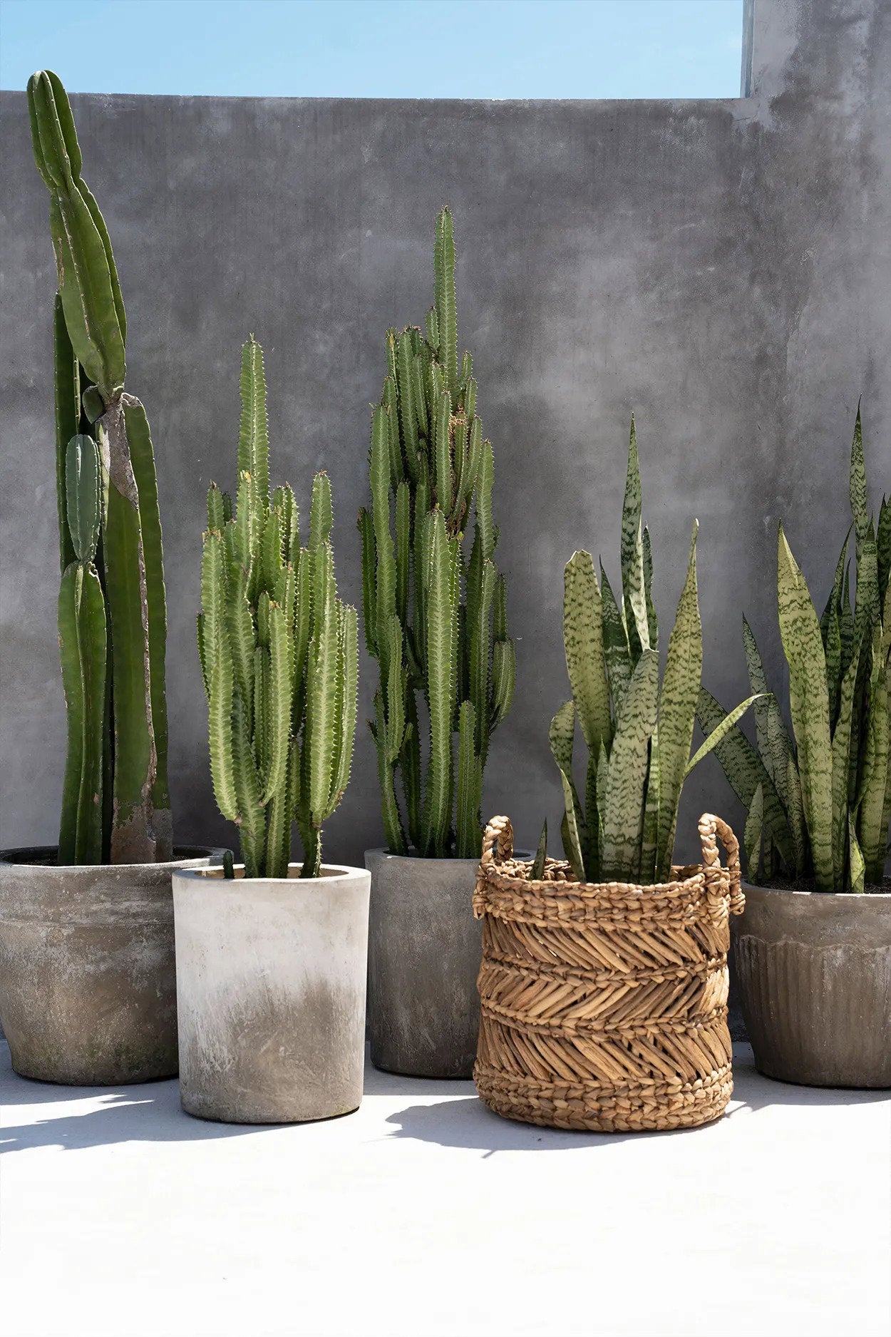 the-banana-zigzag-basket-l