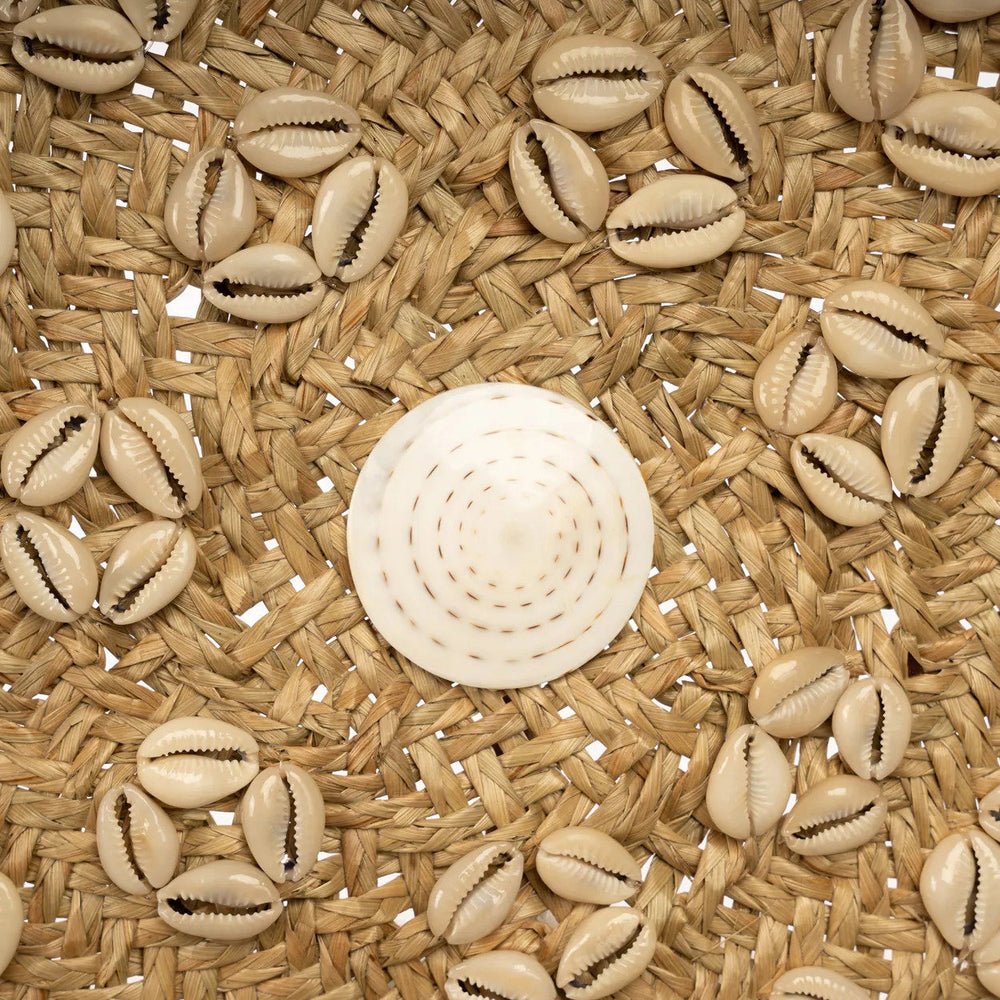 the-caribe-shell-plate-natural-white-m