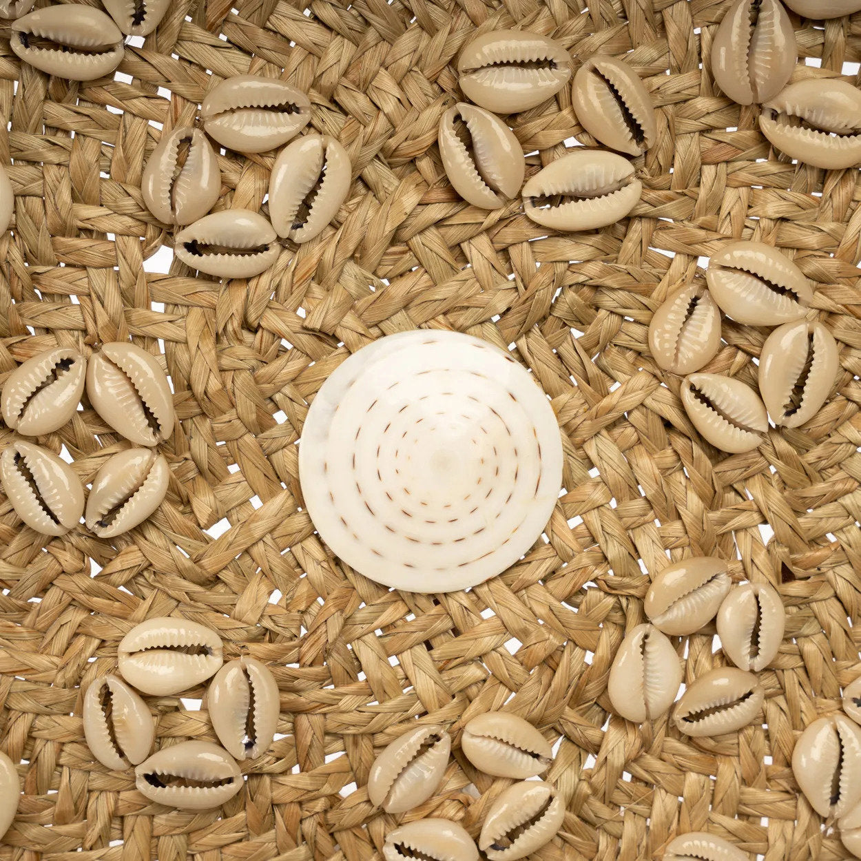 the-caribe-shell-plate-natural-white-m