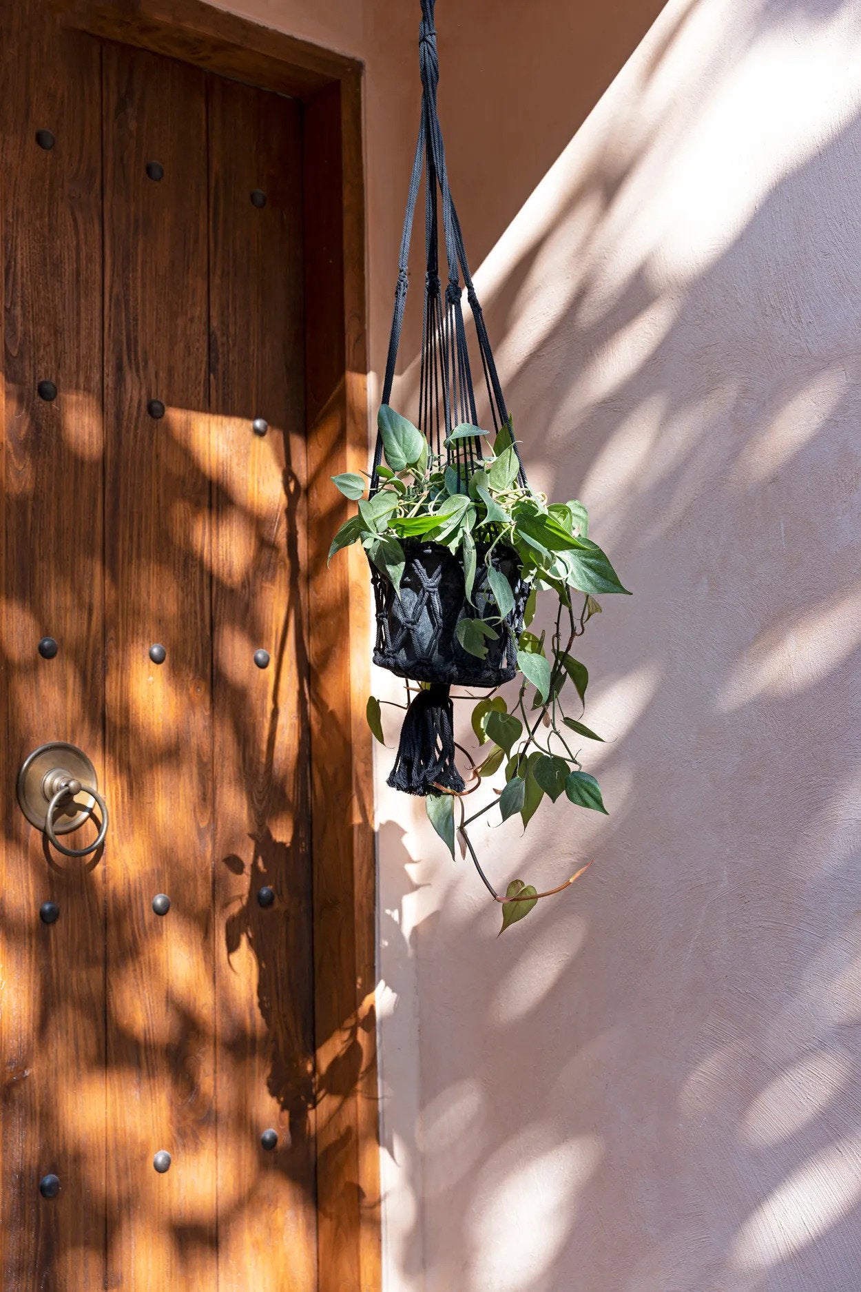 the-macrame-plant-holder-black-l