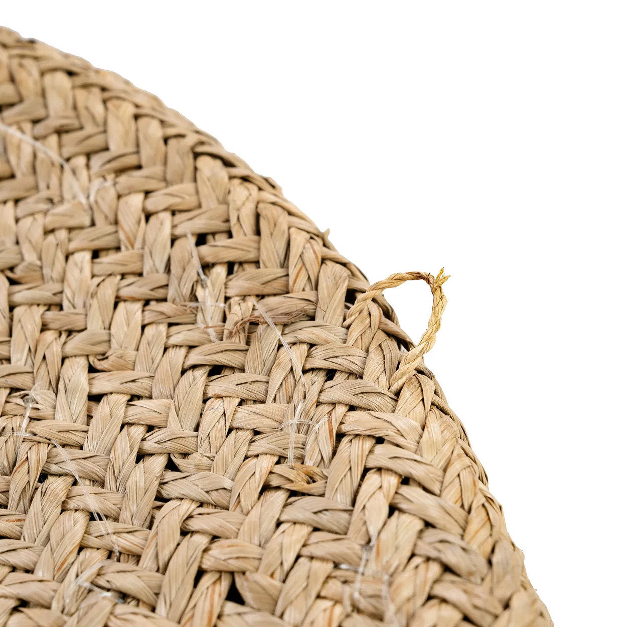 the-costa-shell-plate-natural-white-m