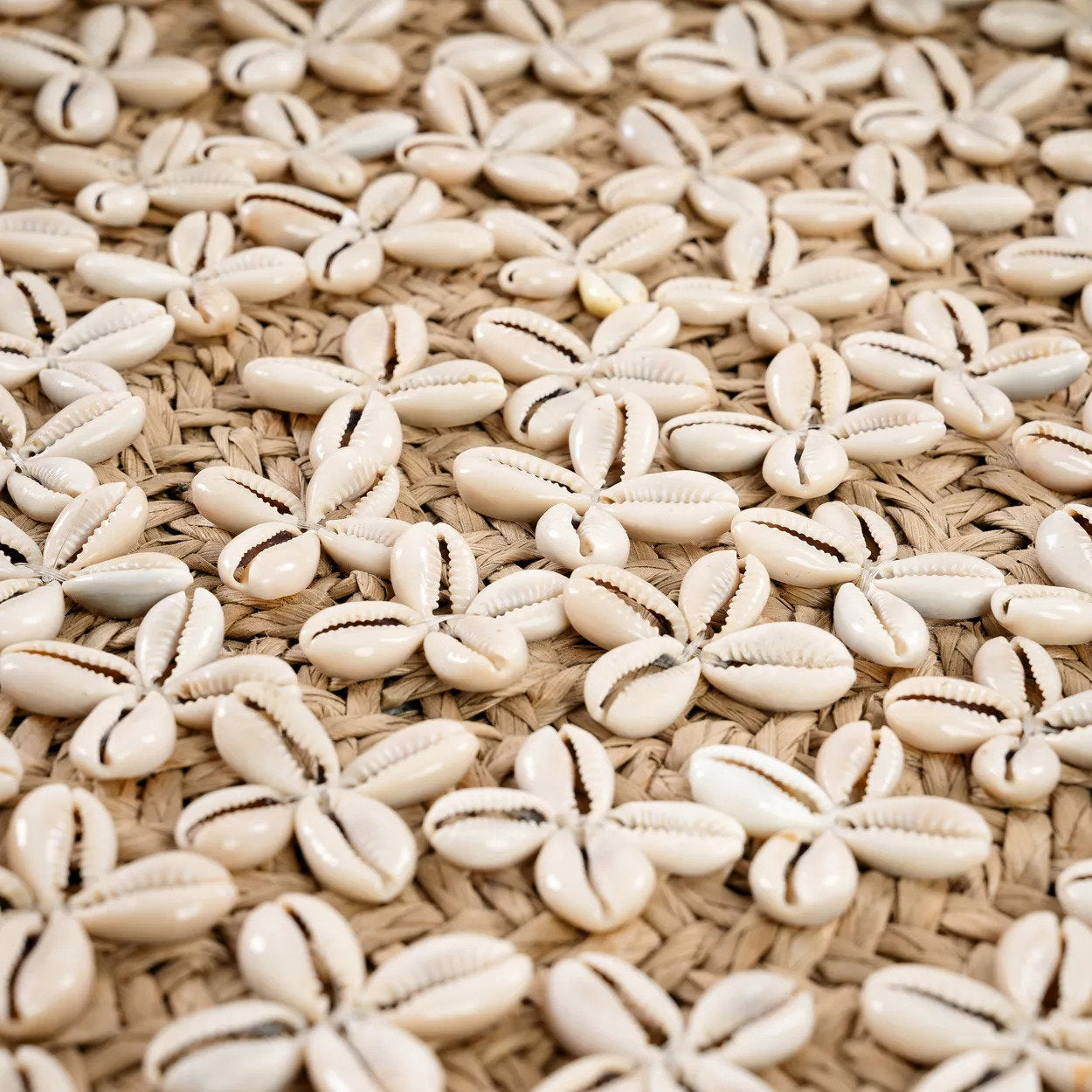 the-costa-shell-plate-natural-white-m