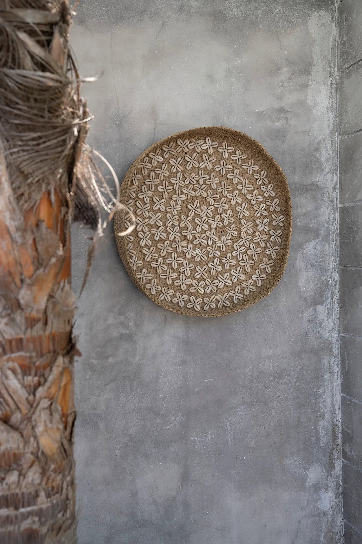 the-costa-shell-plate-natural-white-m