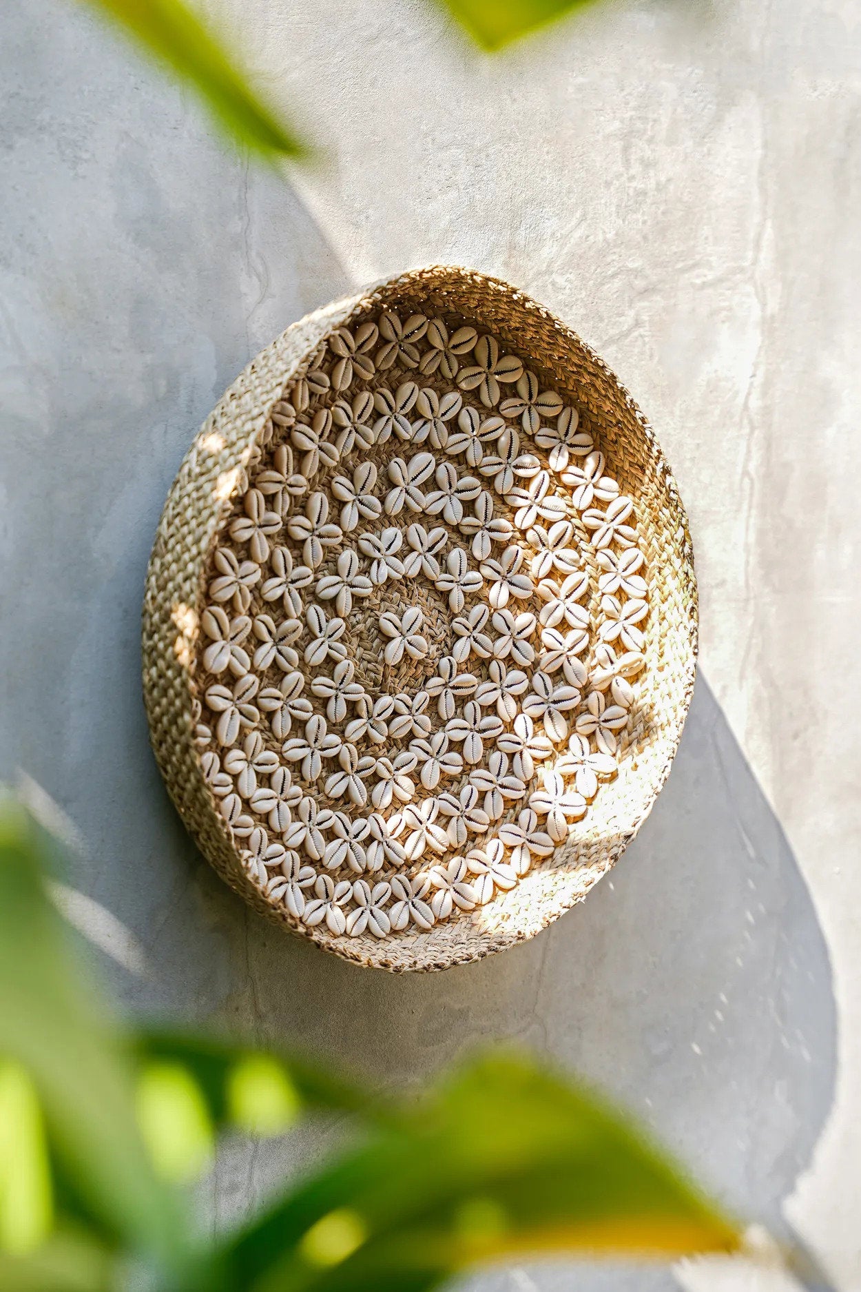 the-costa-shell-plate-natural-white-m