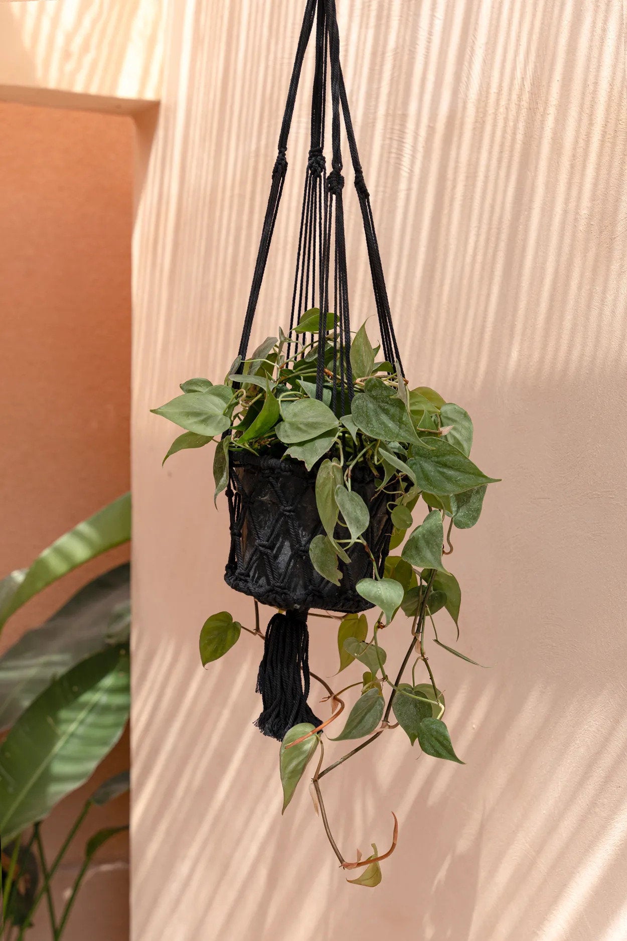 the-macrame-plant-holder-black-m