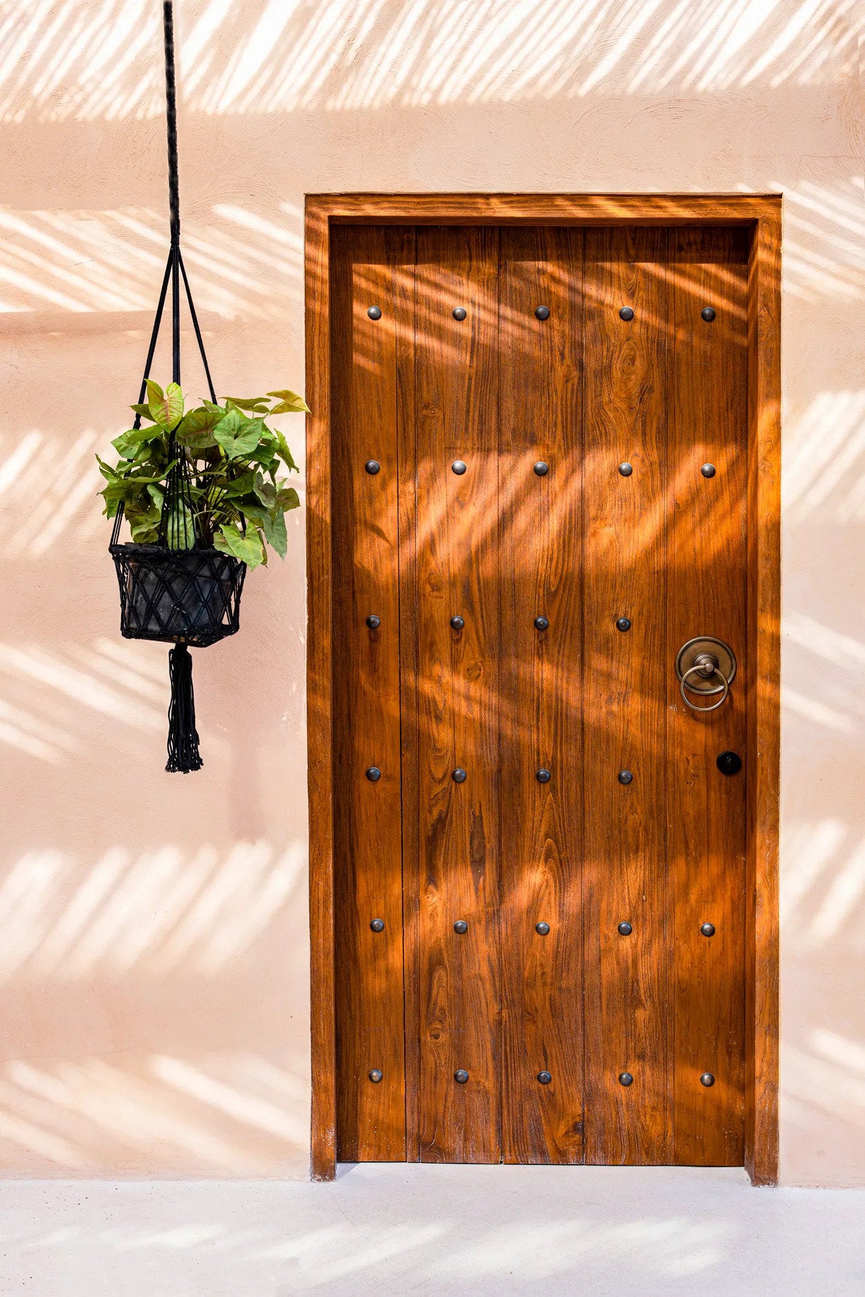 the-macrame-plant-holder-black-m