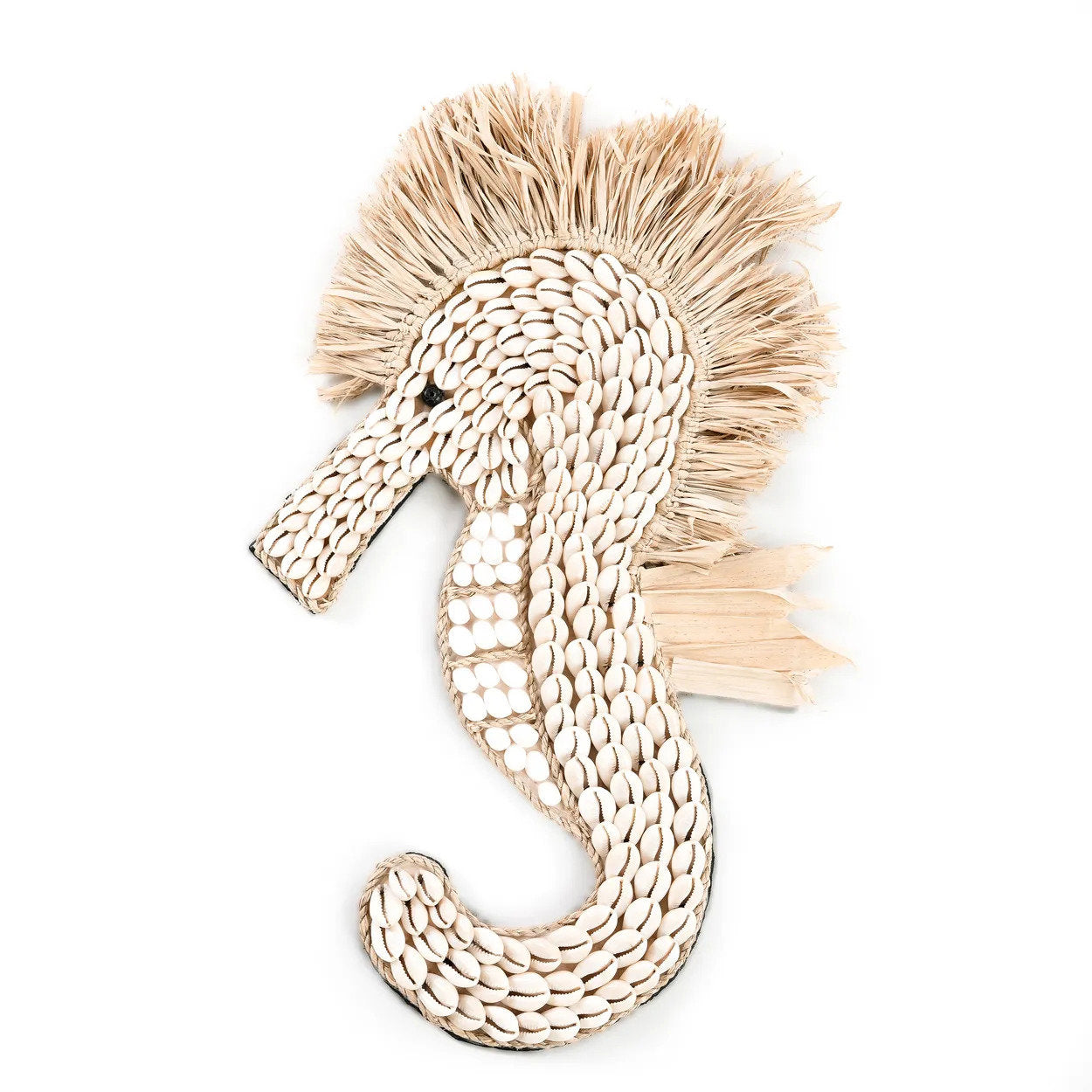the-shell-sea-horse-white