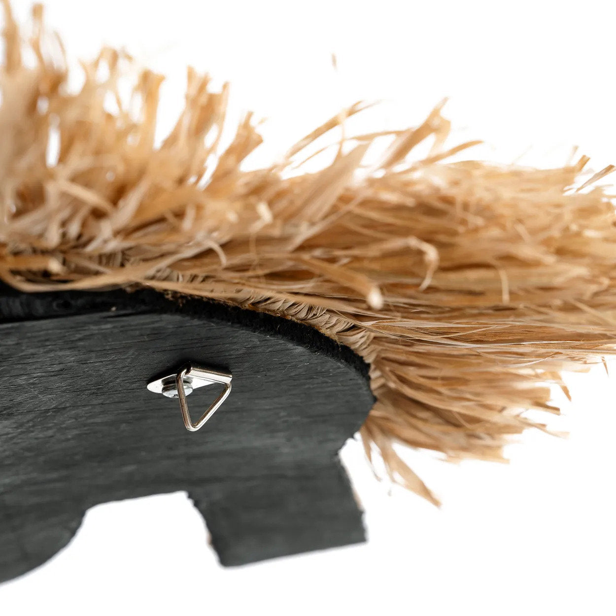 the-shell-sea-horse-white