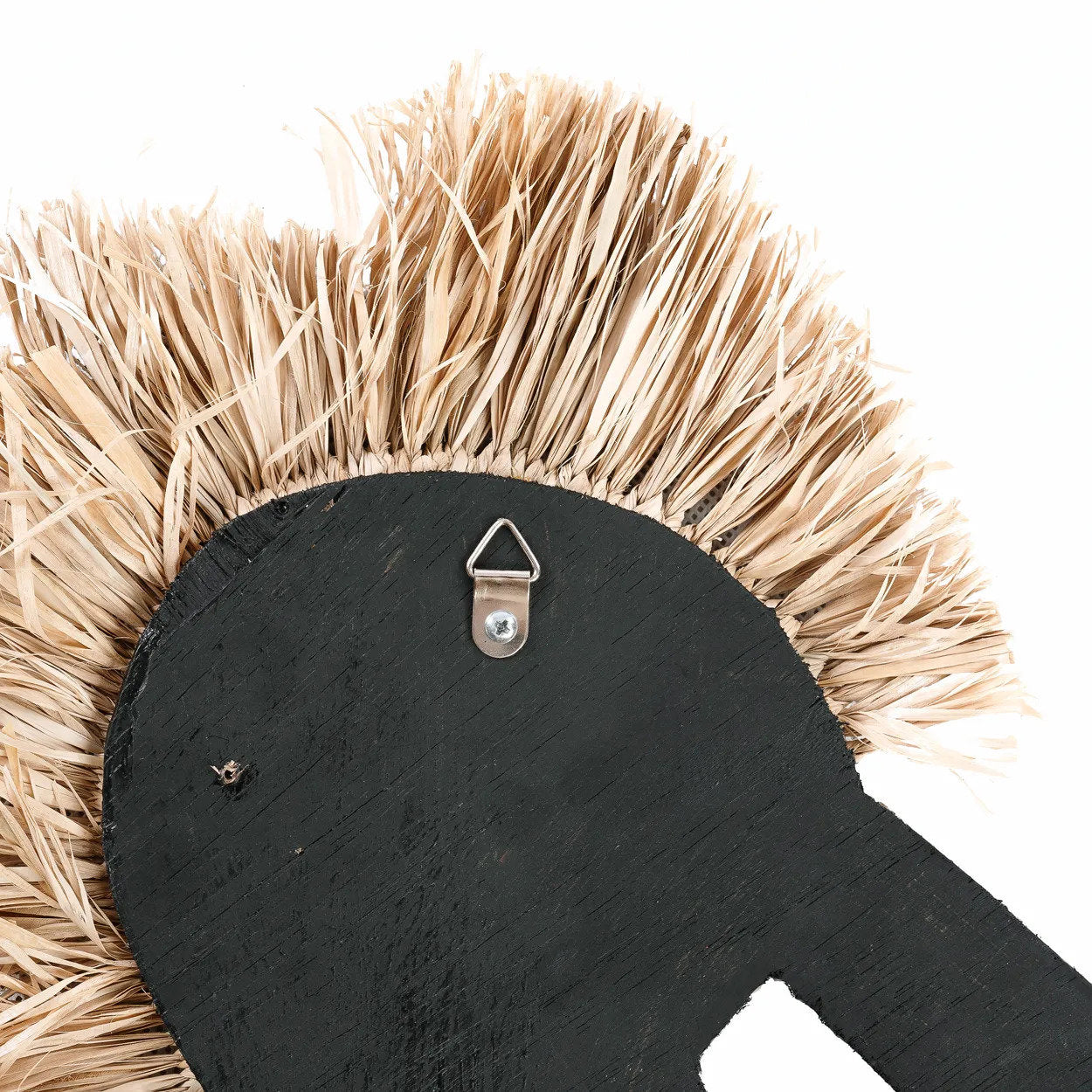 the-shell-sea-horse-white