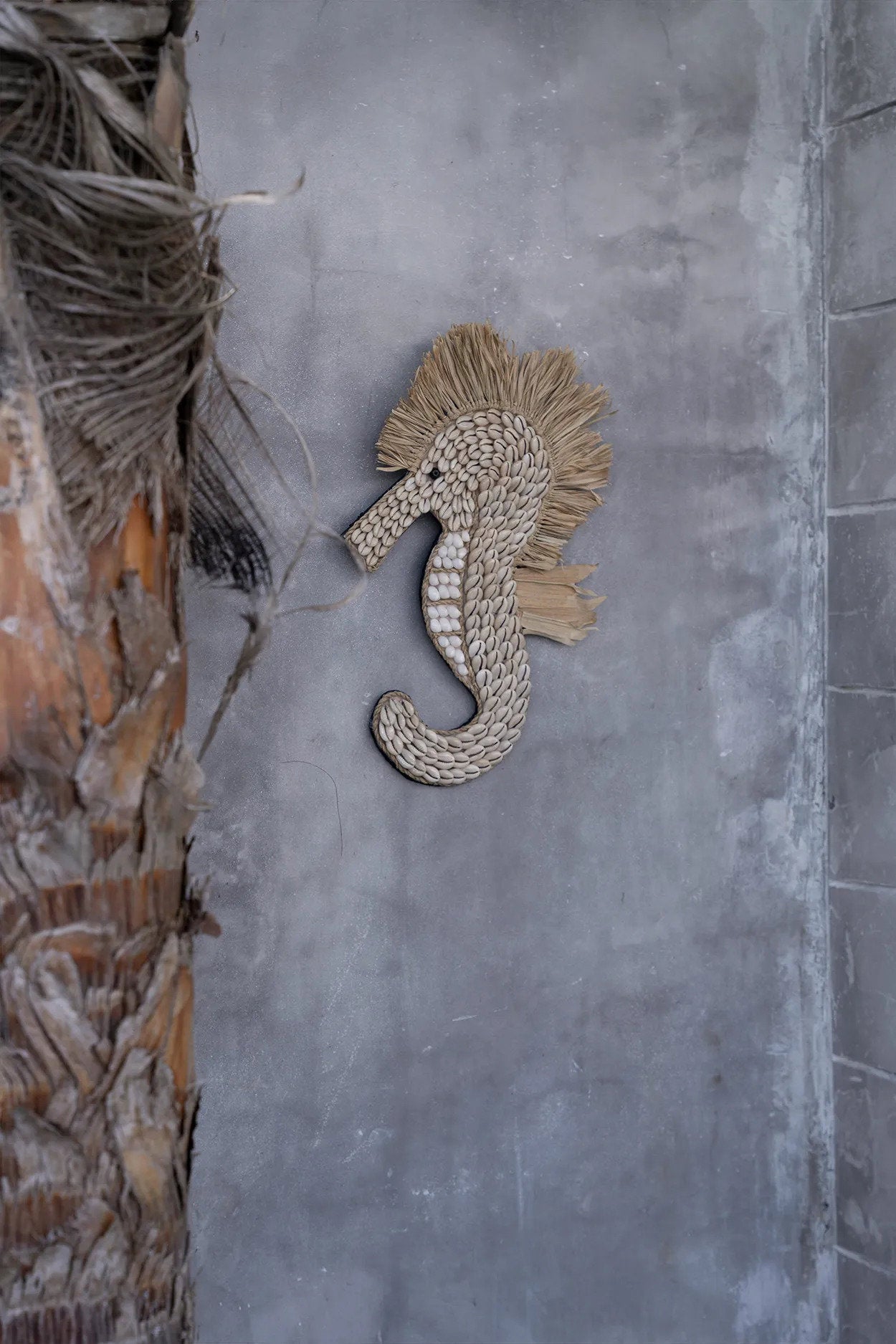 the-shell-sea-horse-white