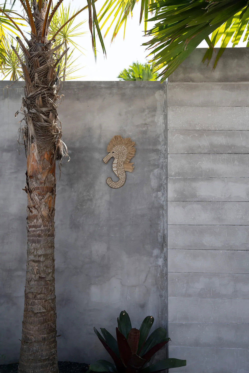 the-shell-sea-horse-white