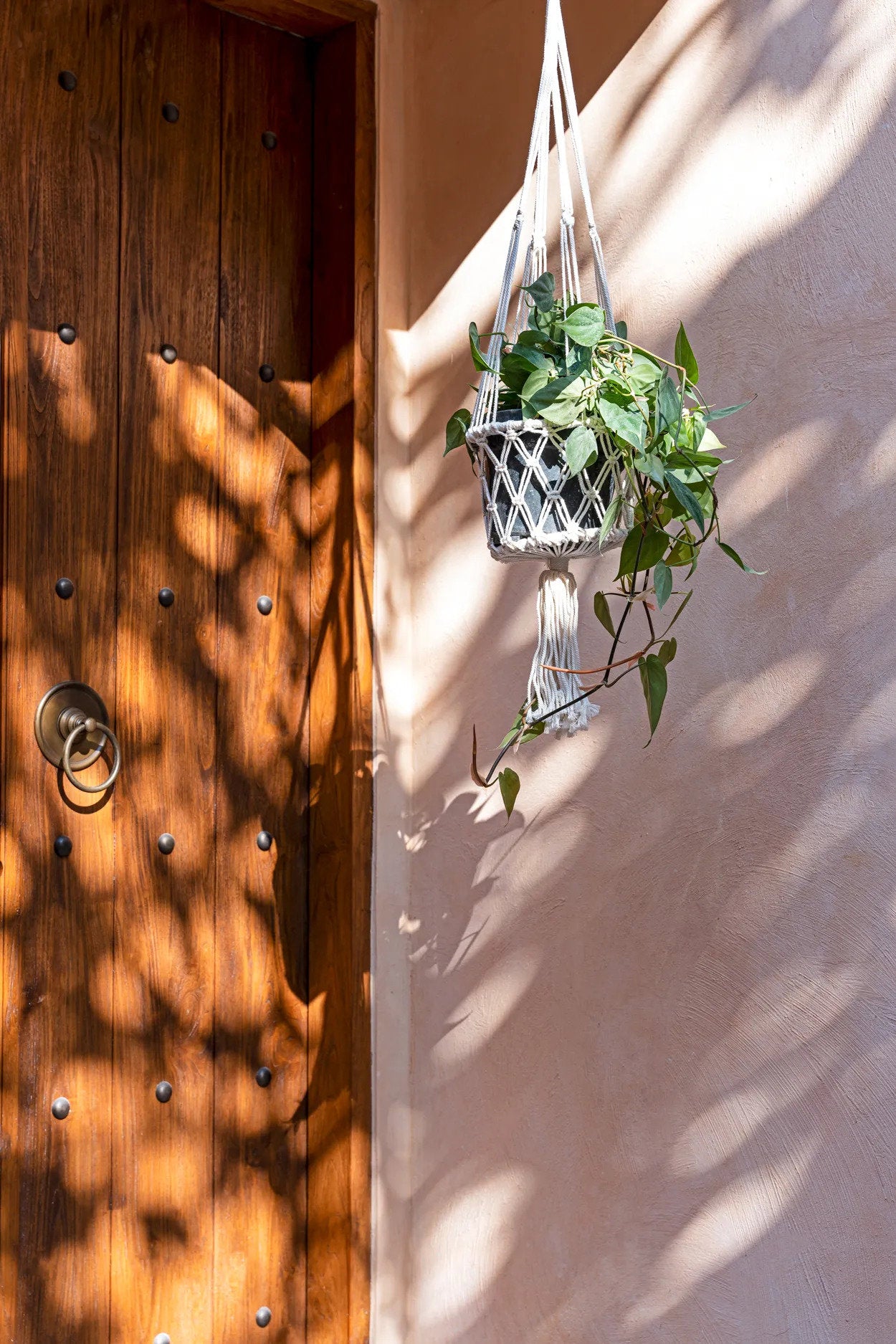 the-macrame-plant-holder-white-m