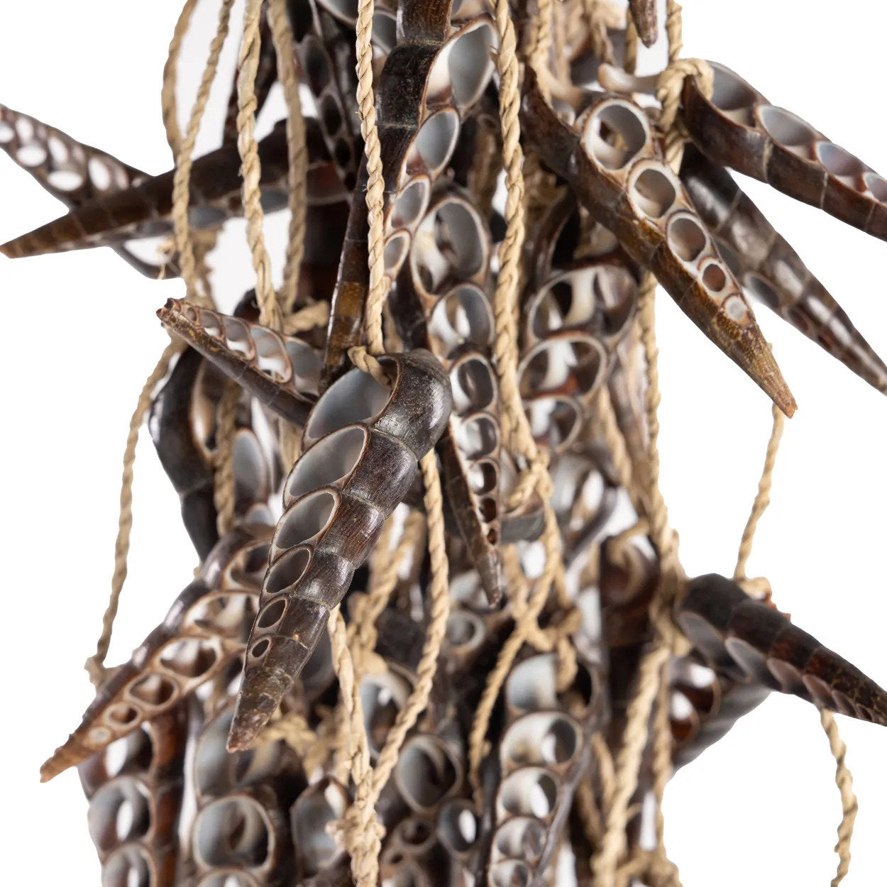 the-unicorn-shell-tassel-brown