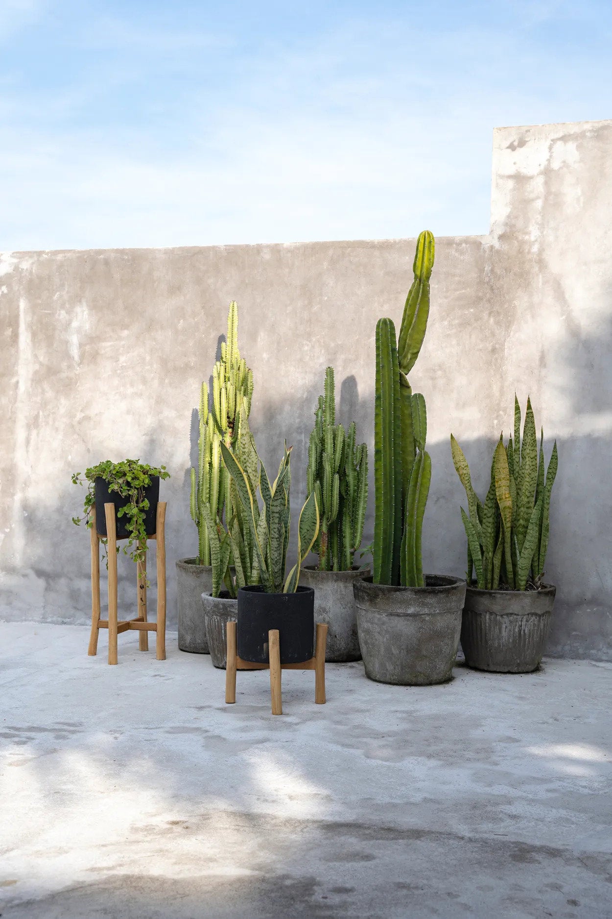 the-charcoal-low-black-natural-s