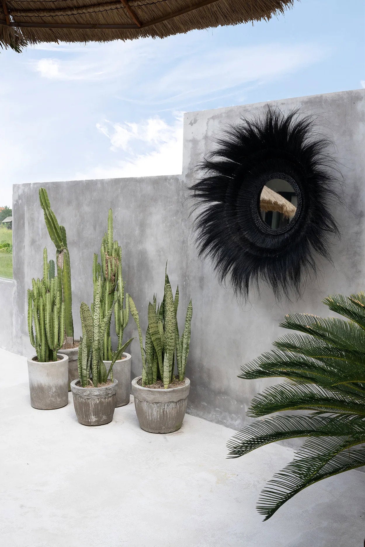 the-sunken-forest-mirror-black