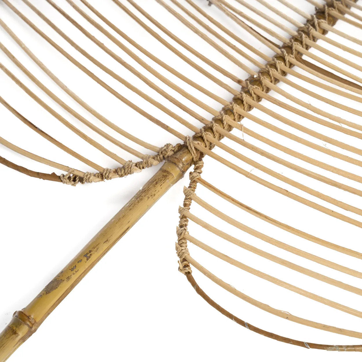 the-rattan-monstera-natural