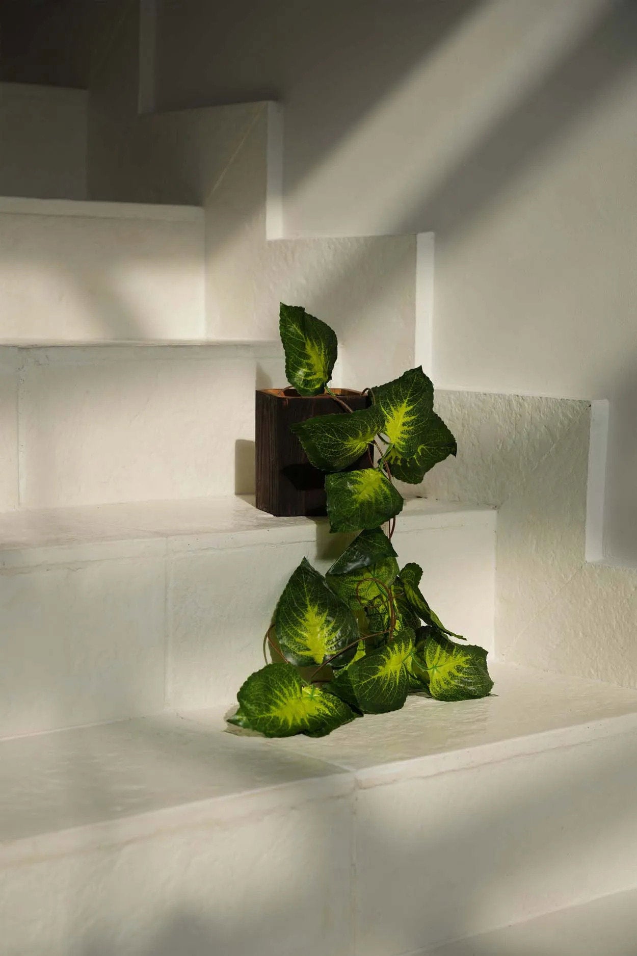 Handcrafted teak square vase with sleek black finish, ideal for adding natural elegance to any modern space.