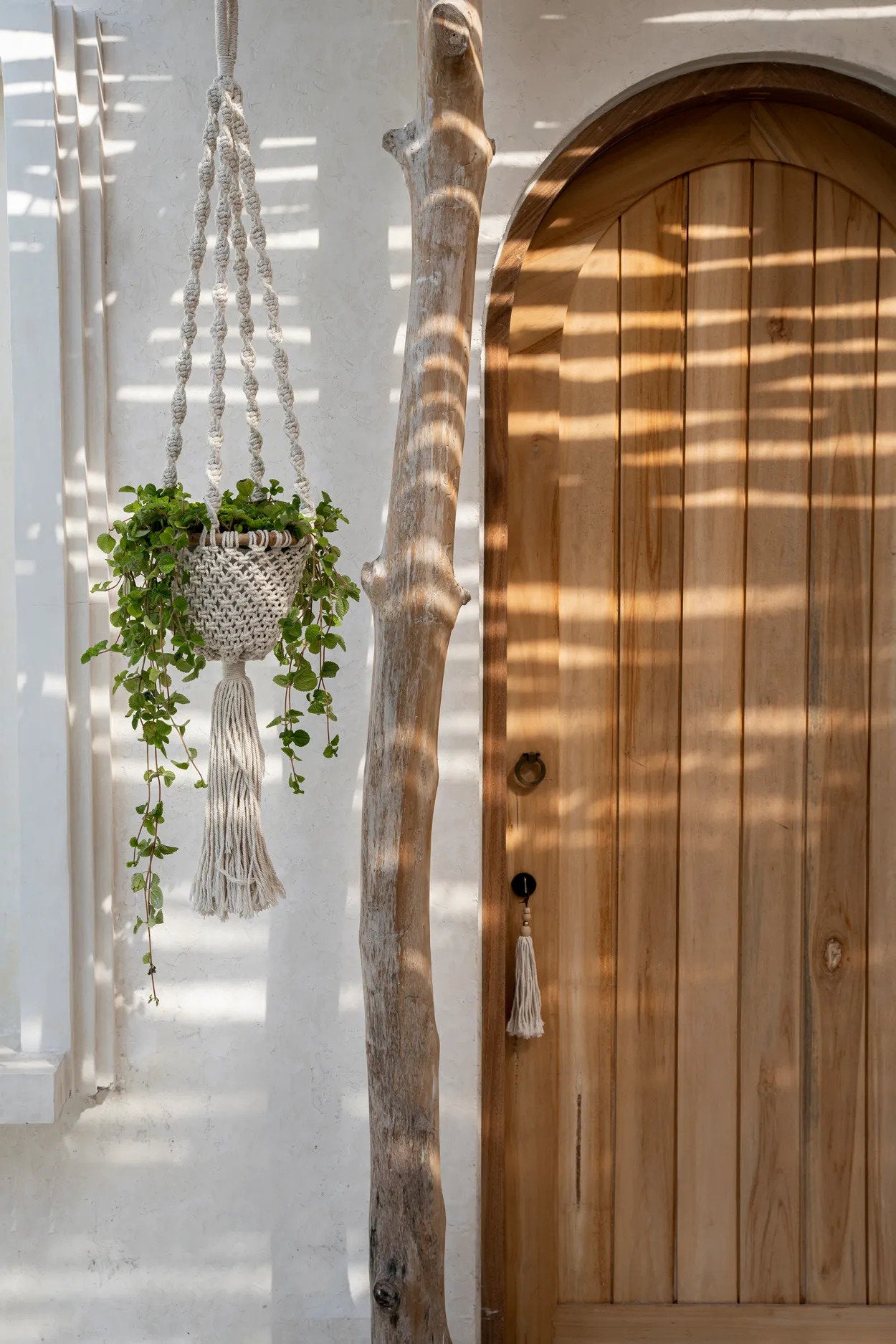 the-twisted-macrame-plant-holder-natural-white-s