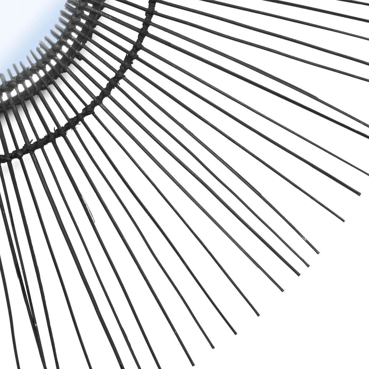 the-tropical-mirror-black-l