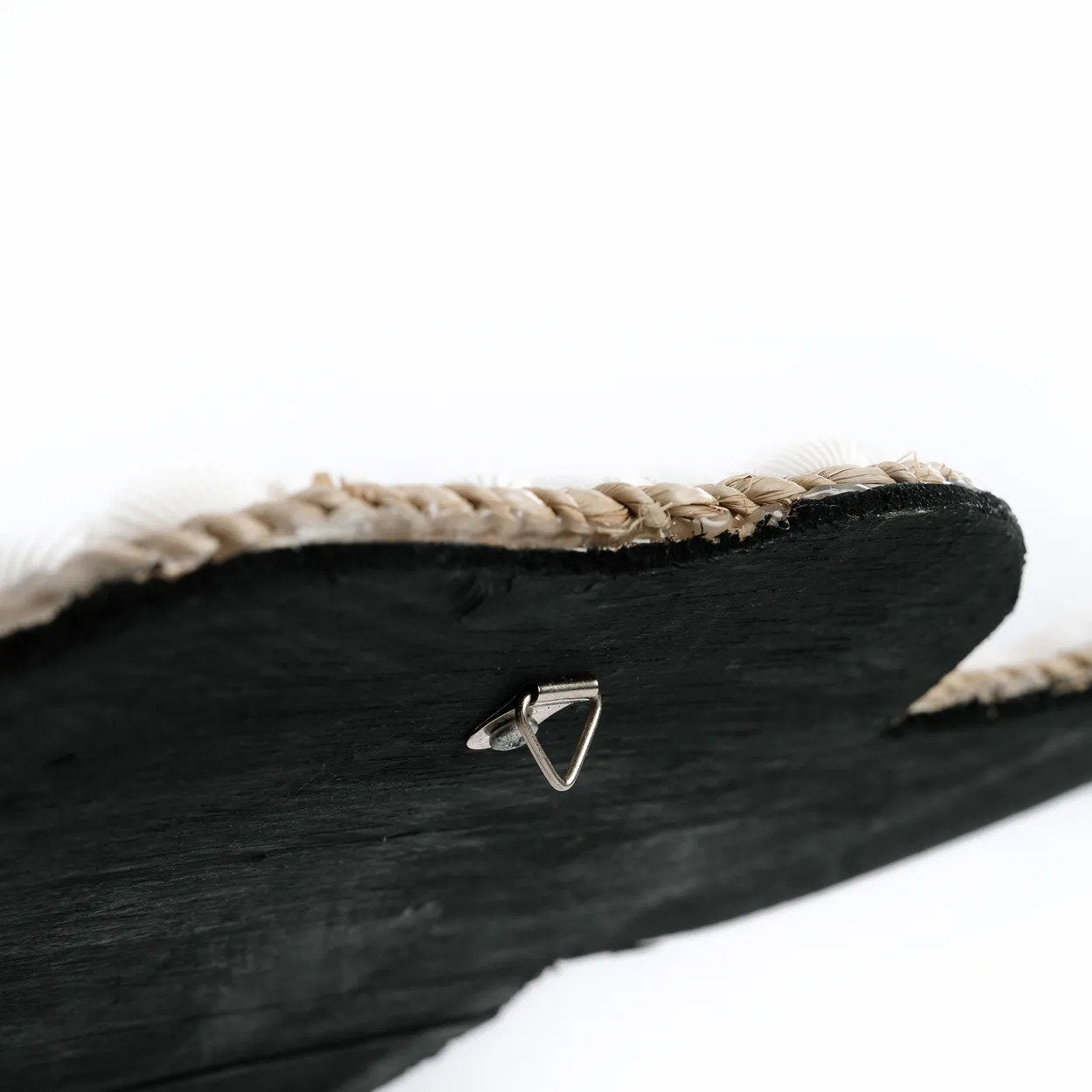 the-bull-shell-white