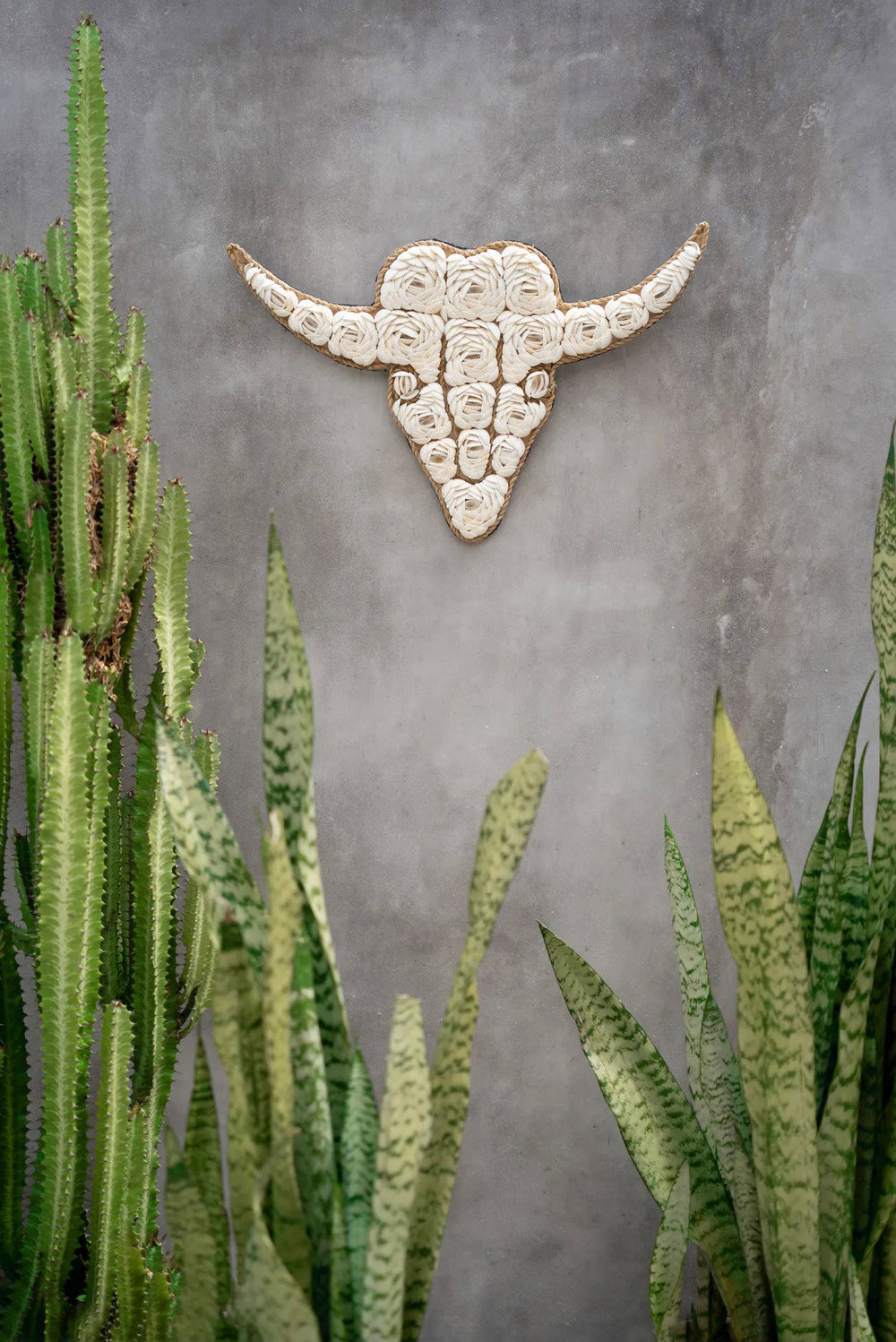 the-bull-shell-white