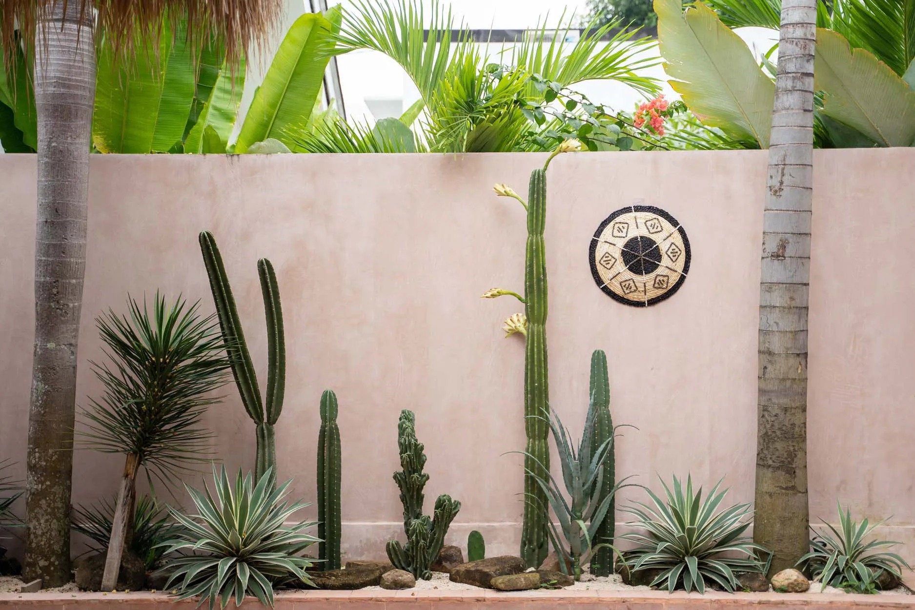 the-cozumel-plate-small