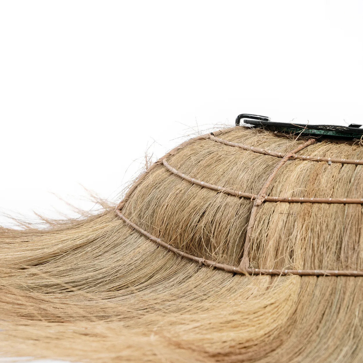 the-sunken-forest-mirror-natural