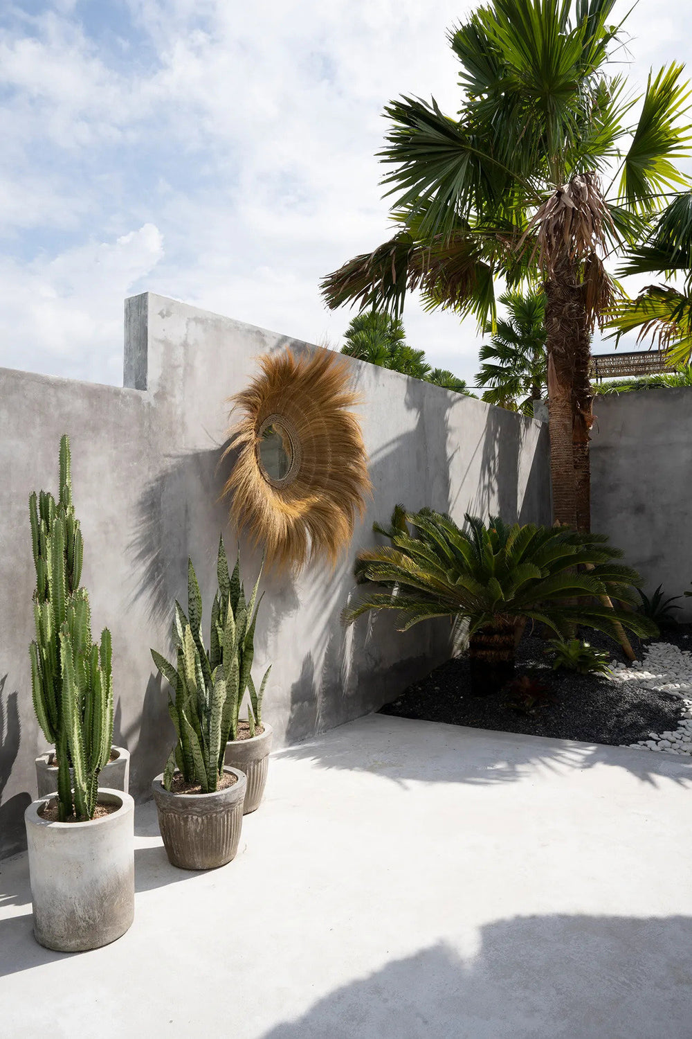 the-sunken-forest-mirror-natural