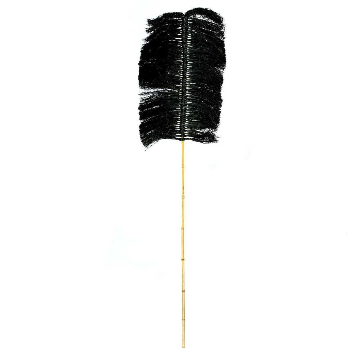 the-raffia-palmeira-black